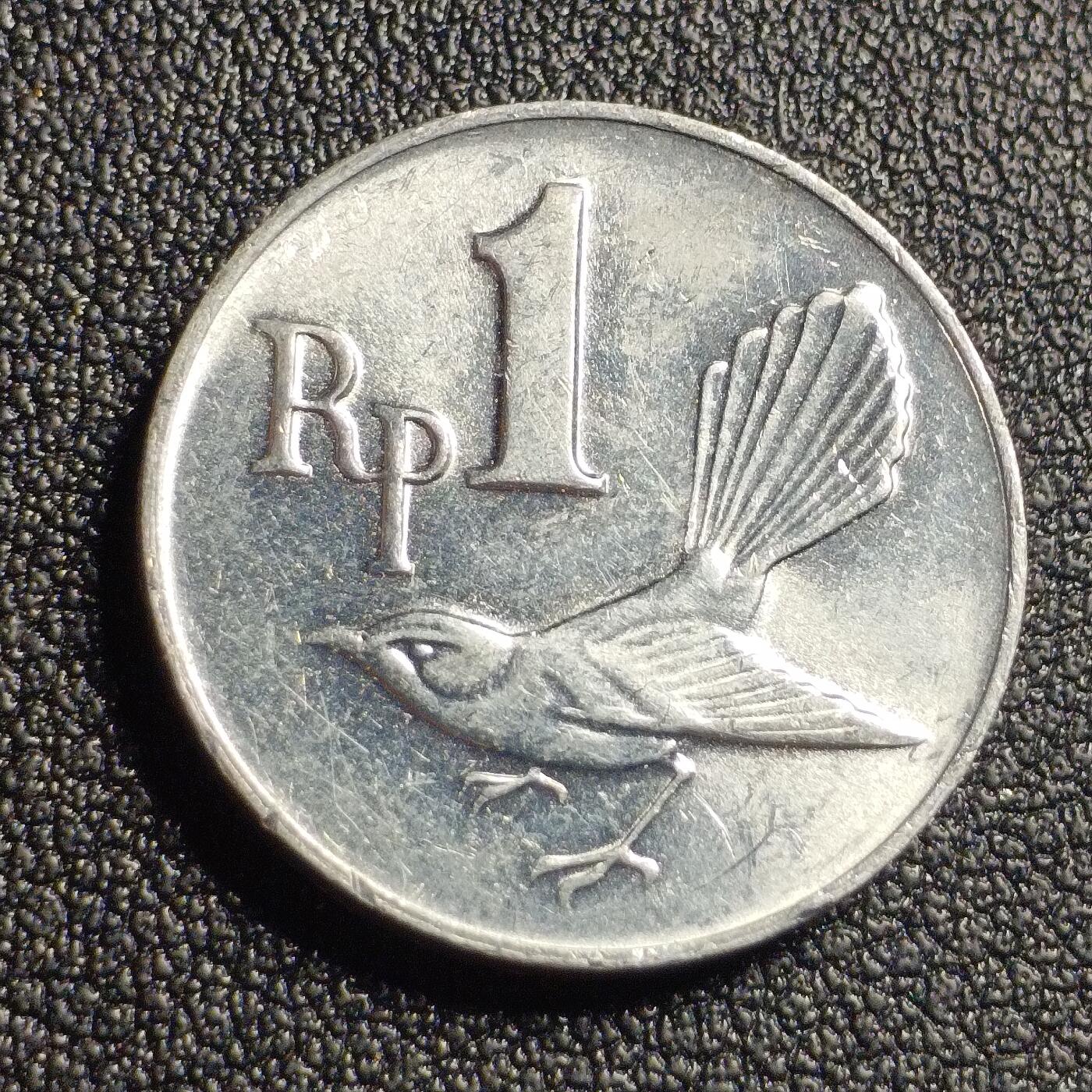 泉币菌-第127场-精品福利场(115场之后的本周末发货，感谢理解) 。