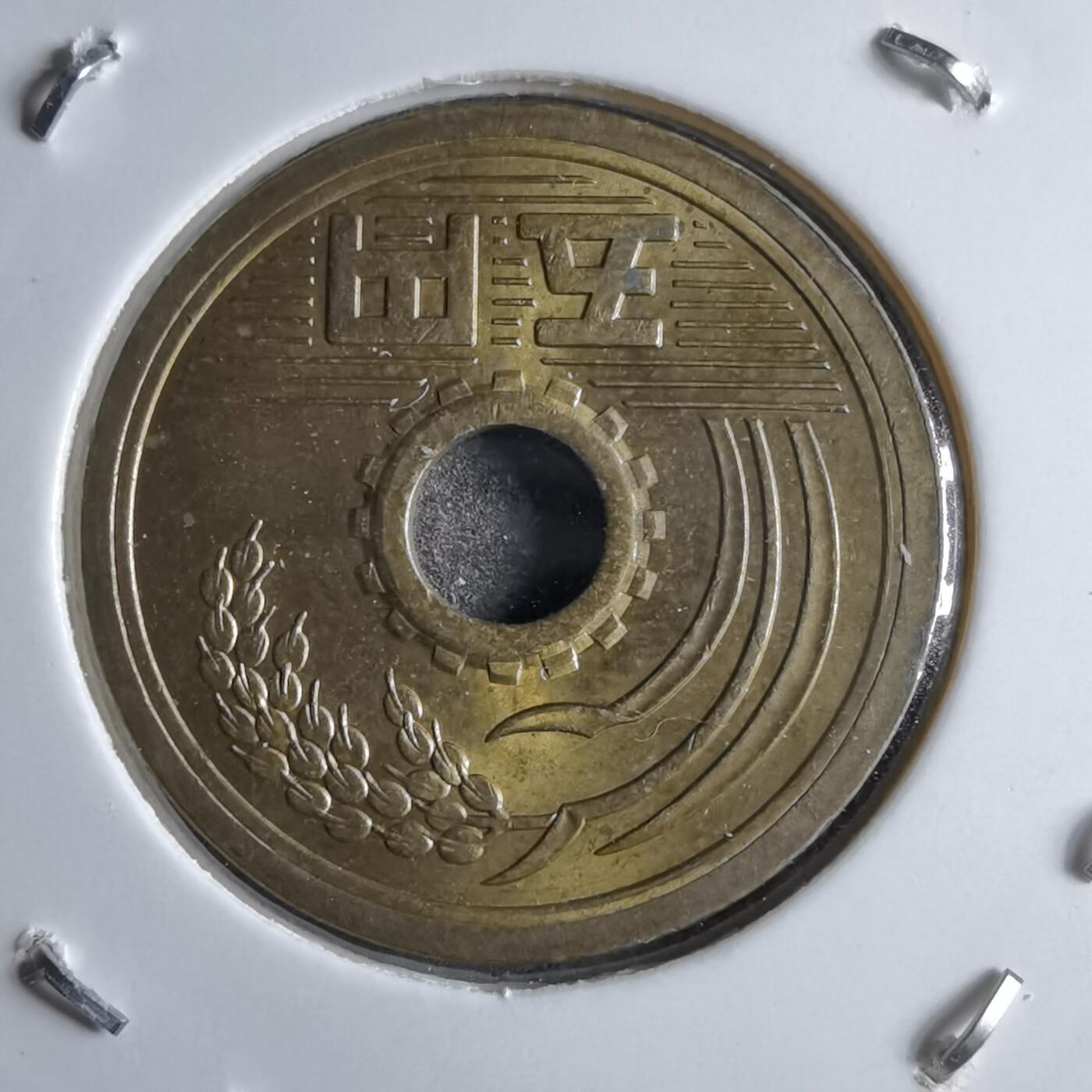 沼泽如烟--第891场