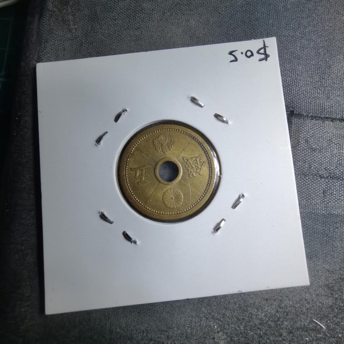 沼泽如烟--第891场