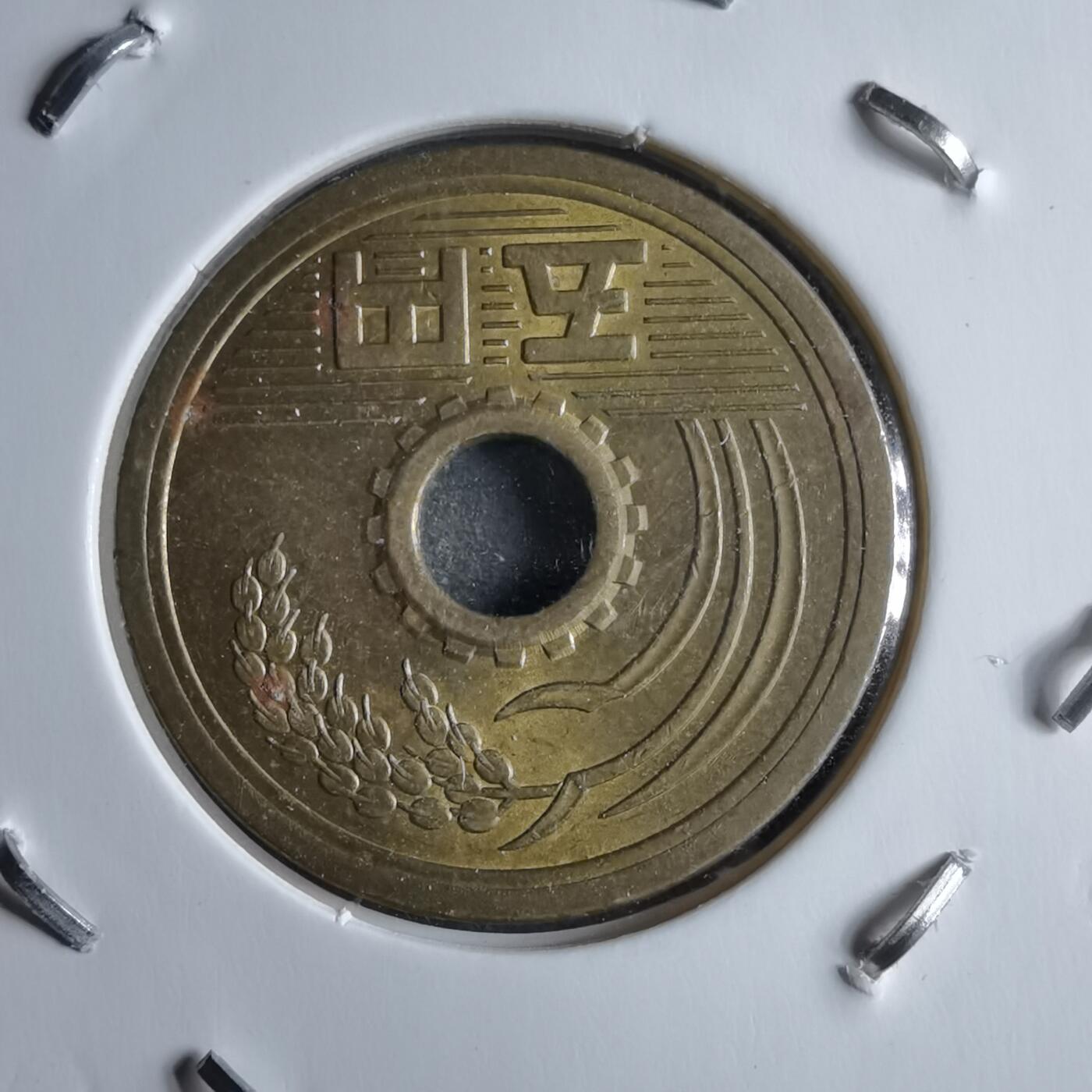 沼泽如烟--第891场