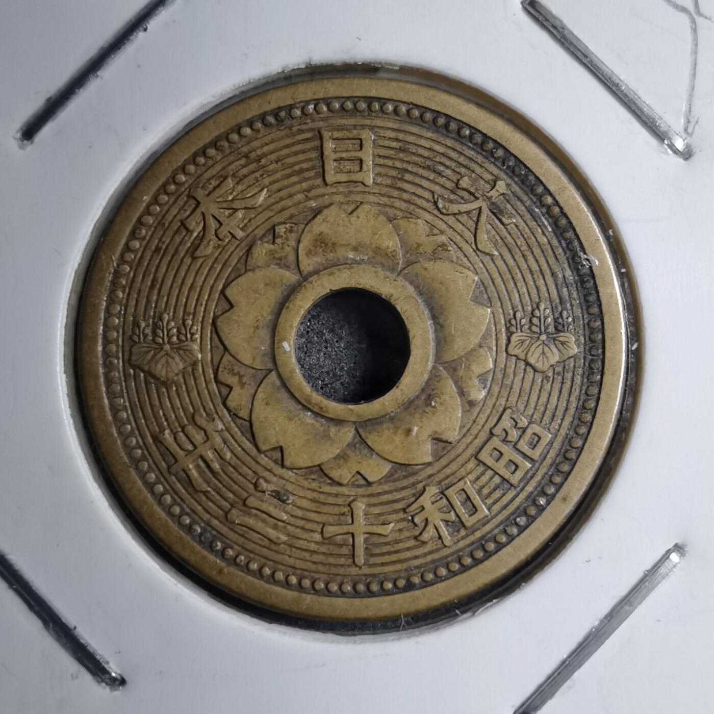 沼泽如烟--第891场