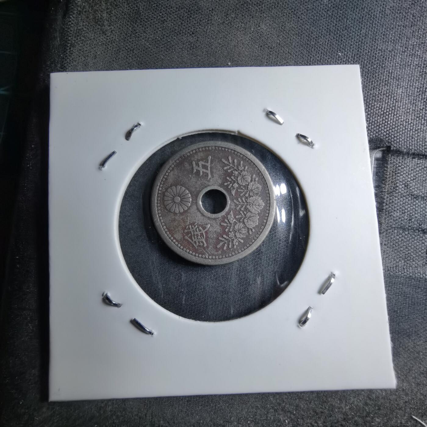 沼泽如烟--第891场