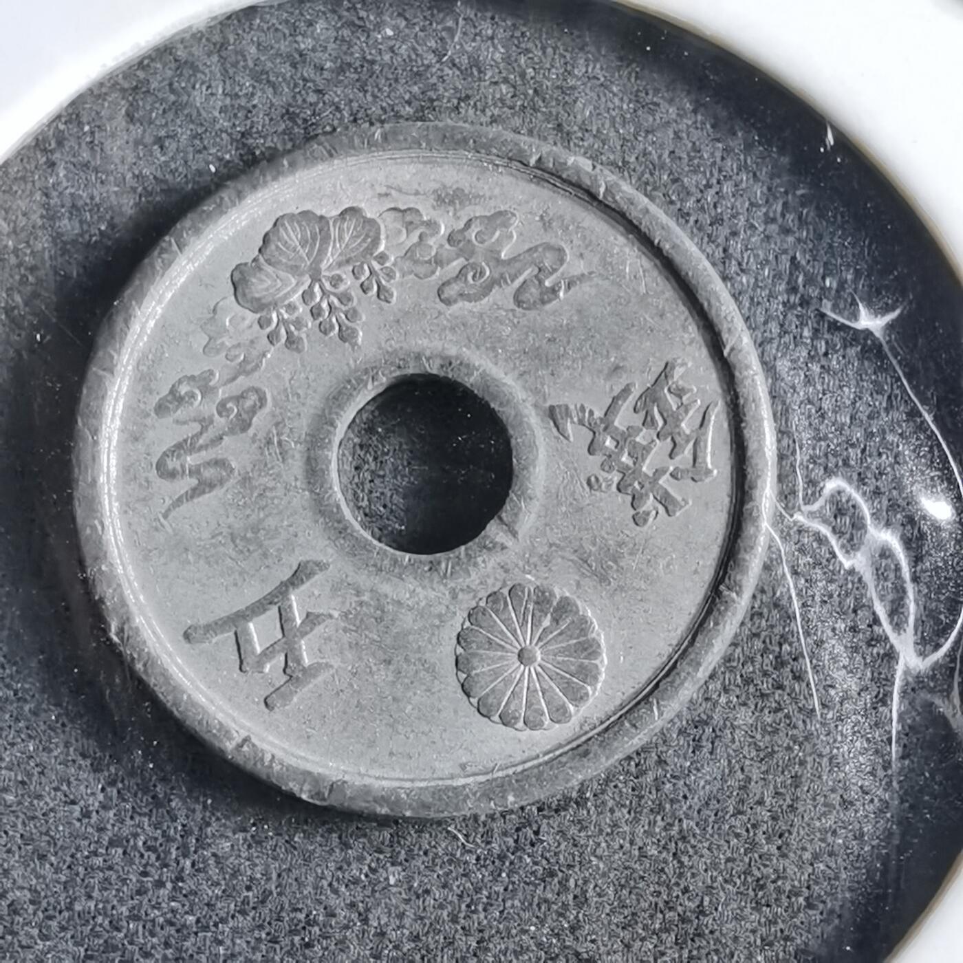 沼泽如烟--第891场