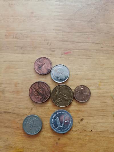 外国硬币（第二期）久等了 - 硬币