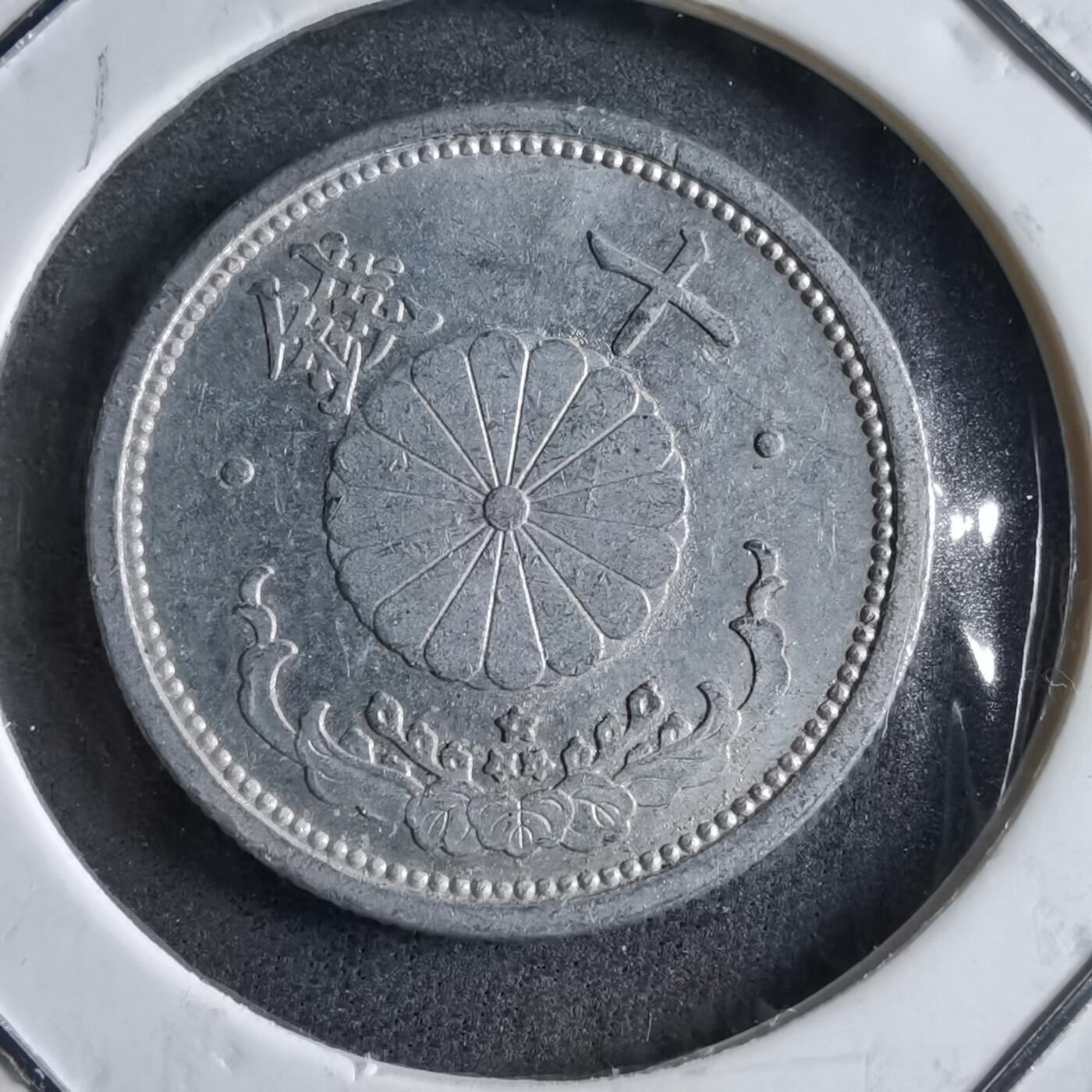 沼泽如烟--第891场