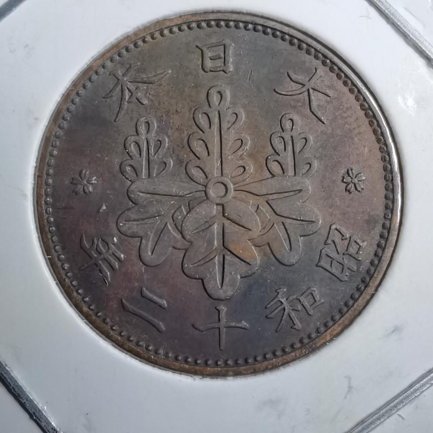 沼泽如烟--第891场