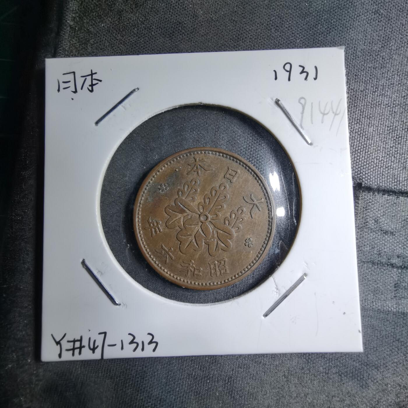 沼泽如烟--第891场