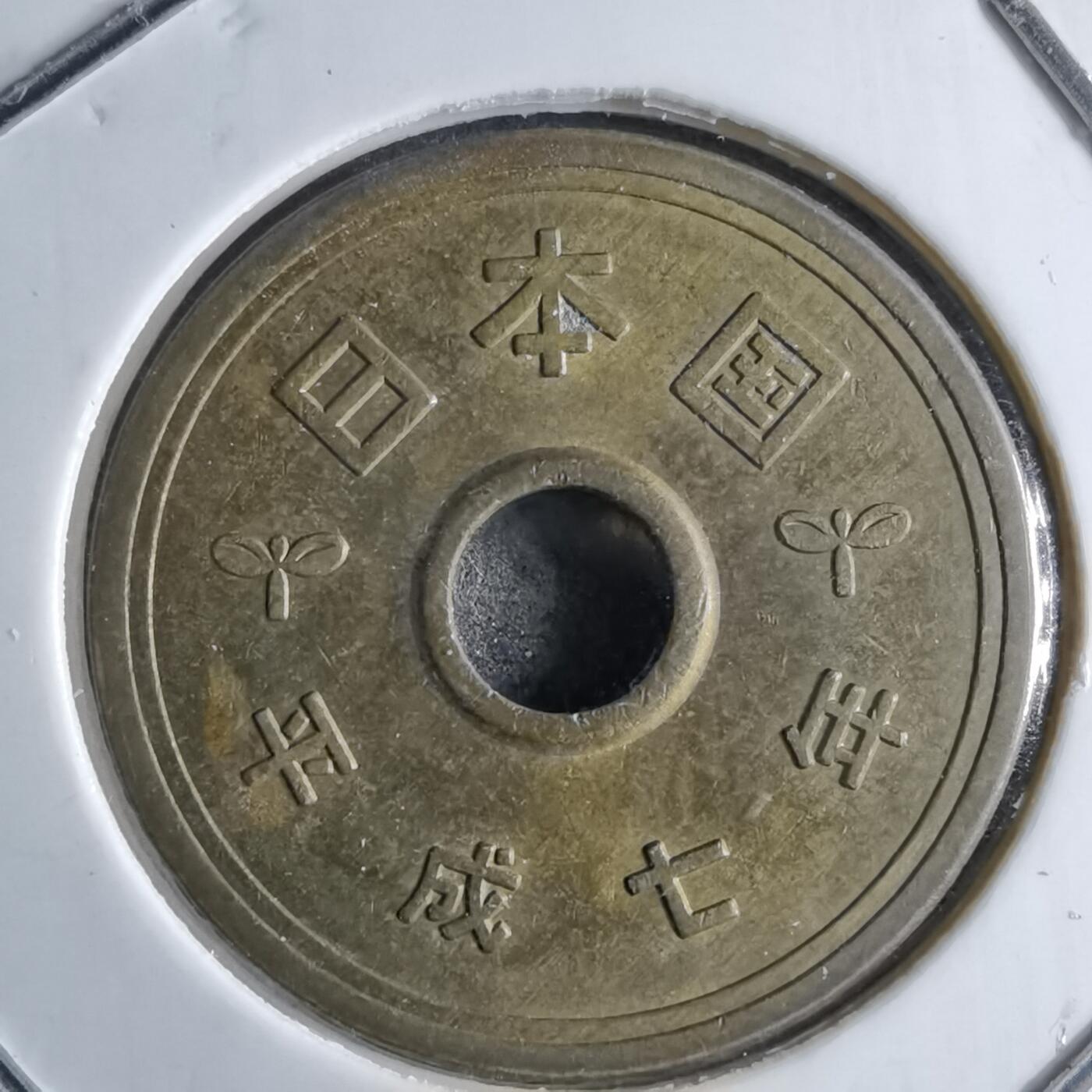 沼泽如烟--第891场