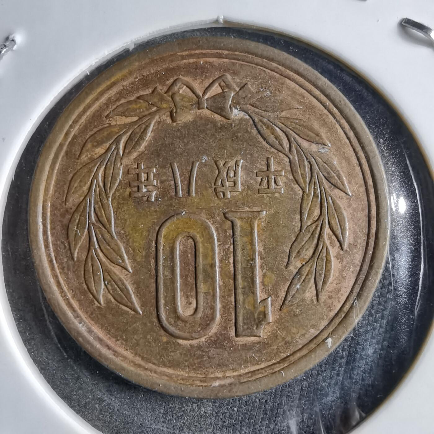 沼泽如烟--第891场