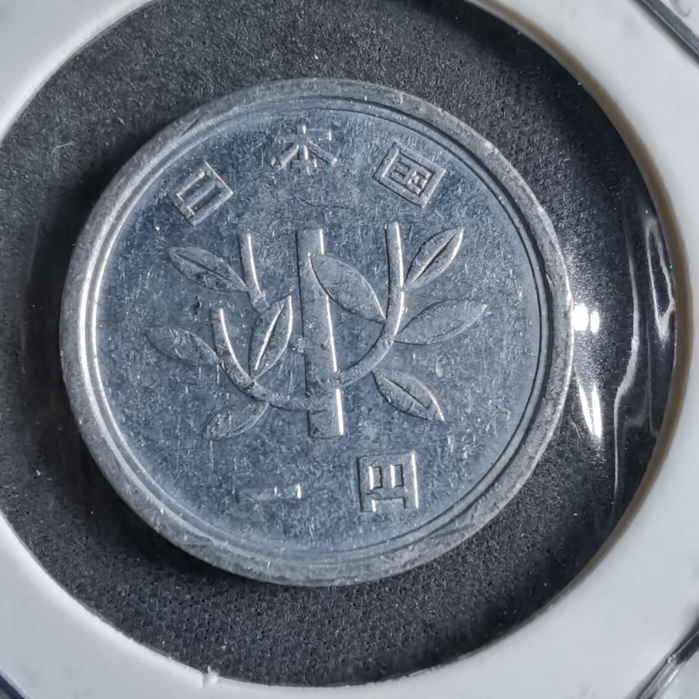 沼泽如烟--第891场