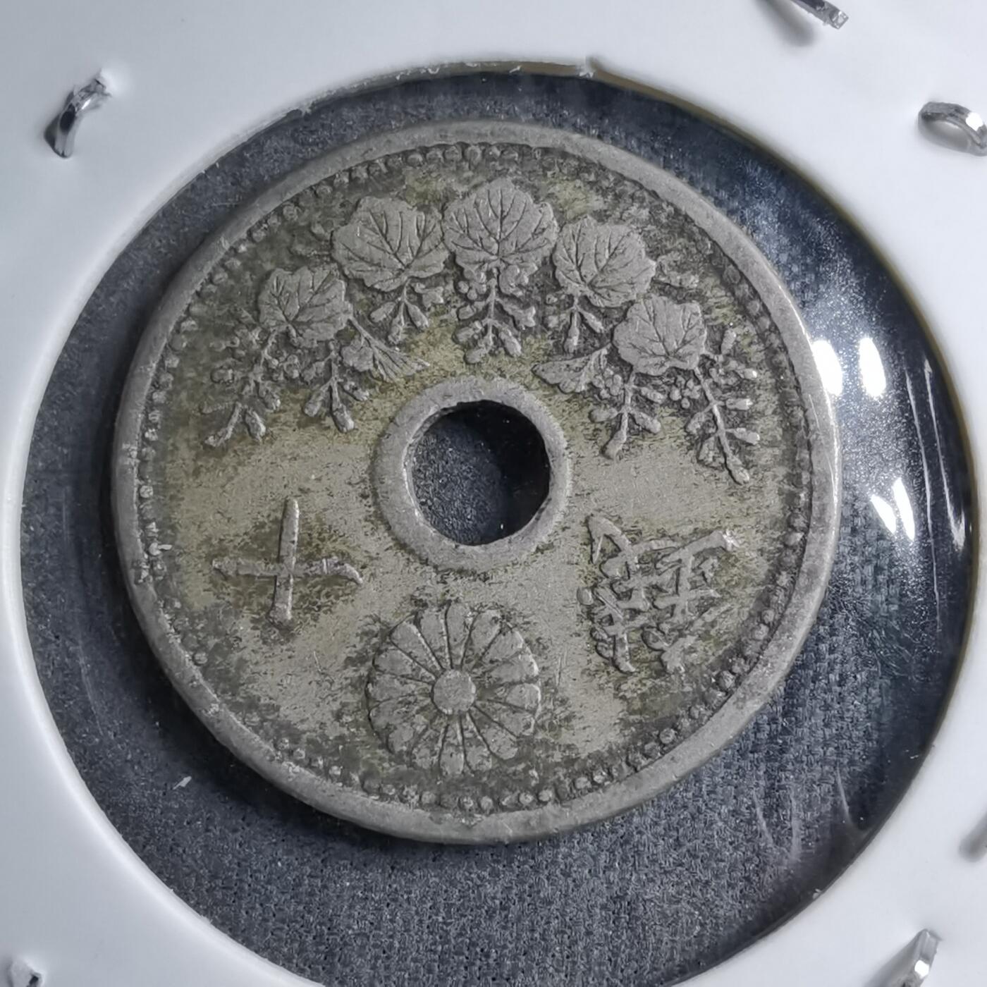 沼泽如烟--第891场