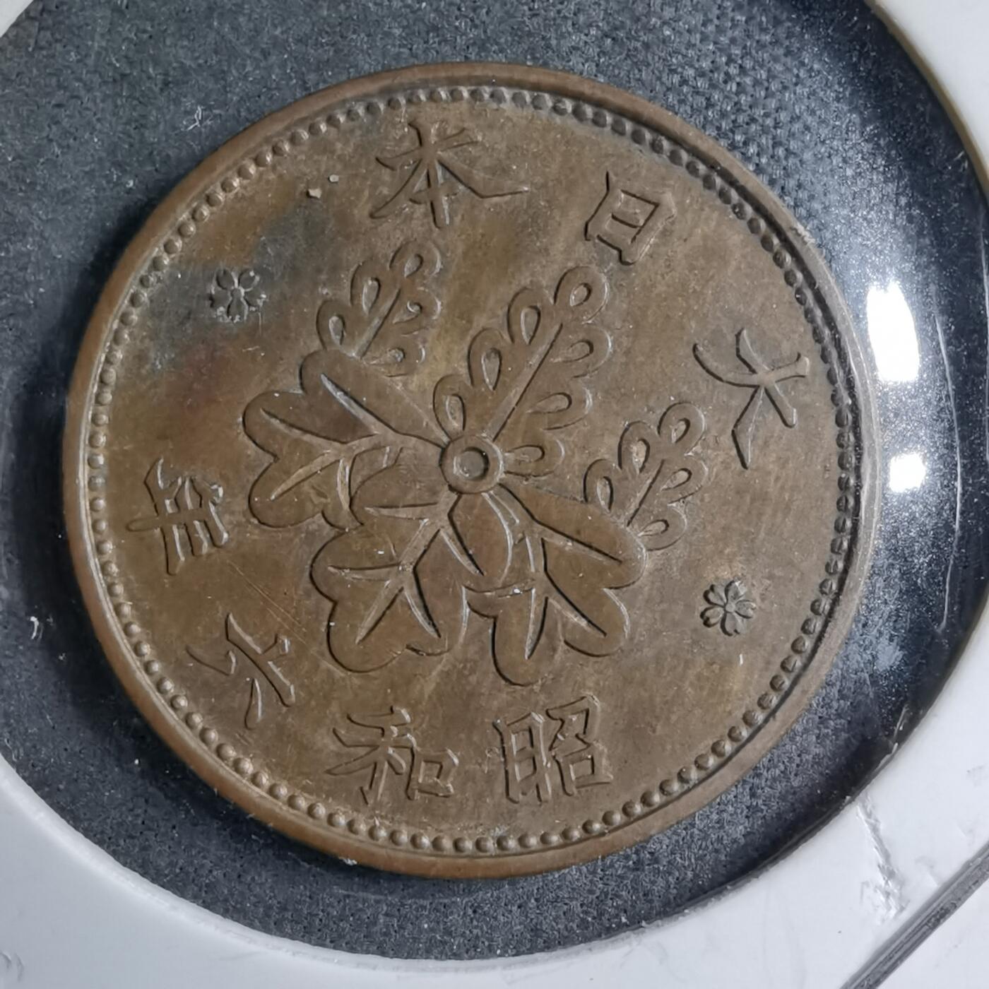 沼泽如烟--第891场