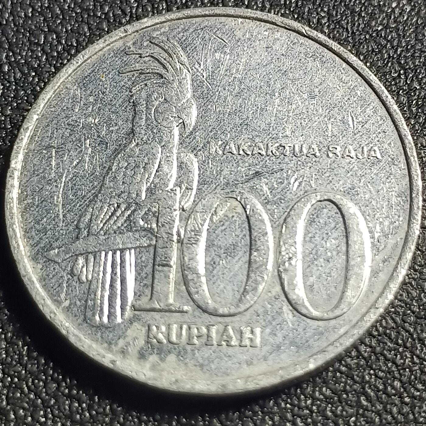 泉币菌-第128场-精品福利场(115场之后的本周末发货，感谢理解) 。