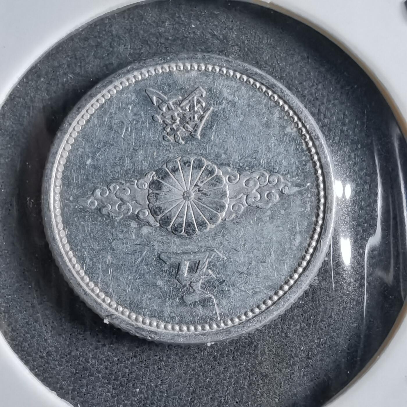 沼泽如烟--第891场