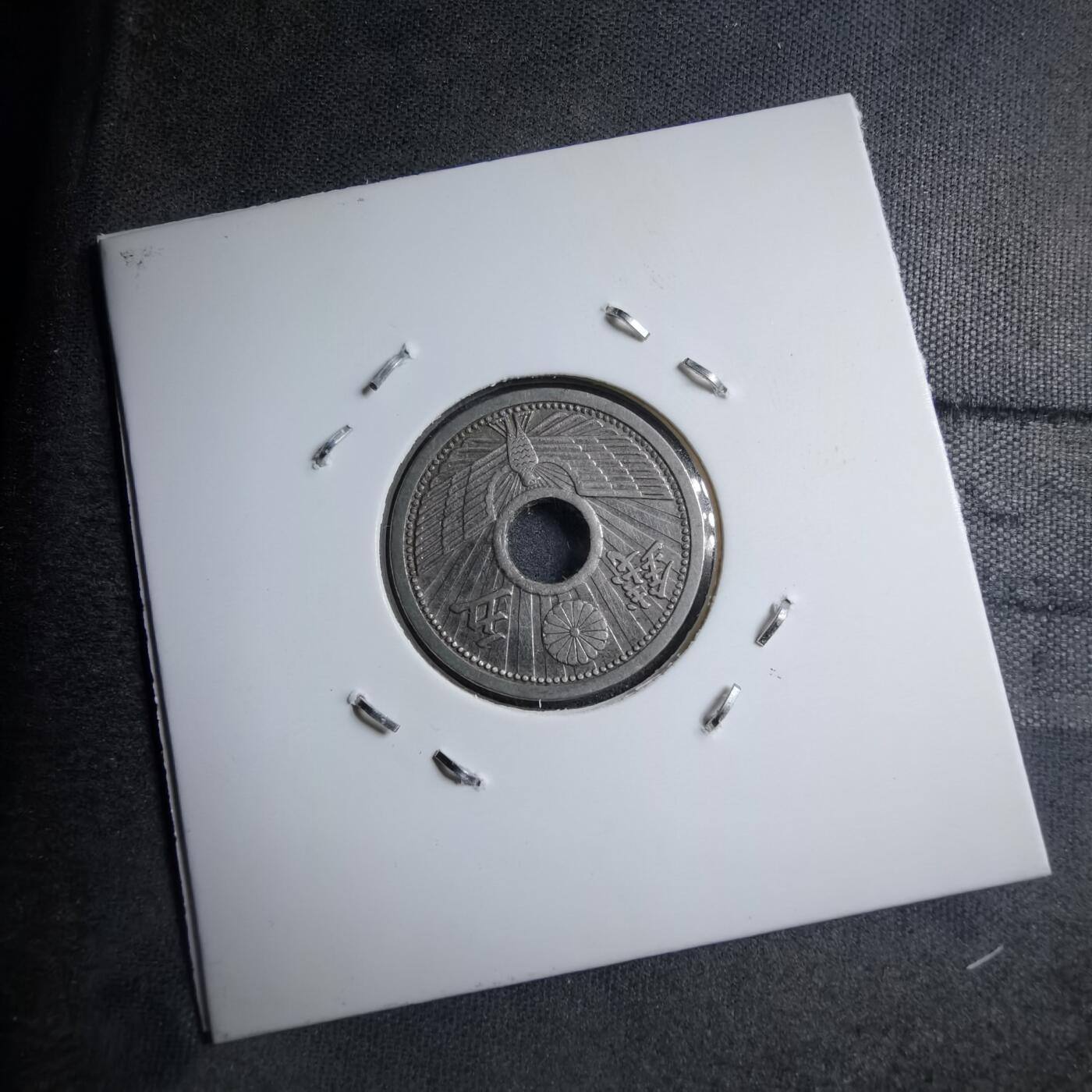 沼泽如烟--第891场