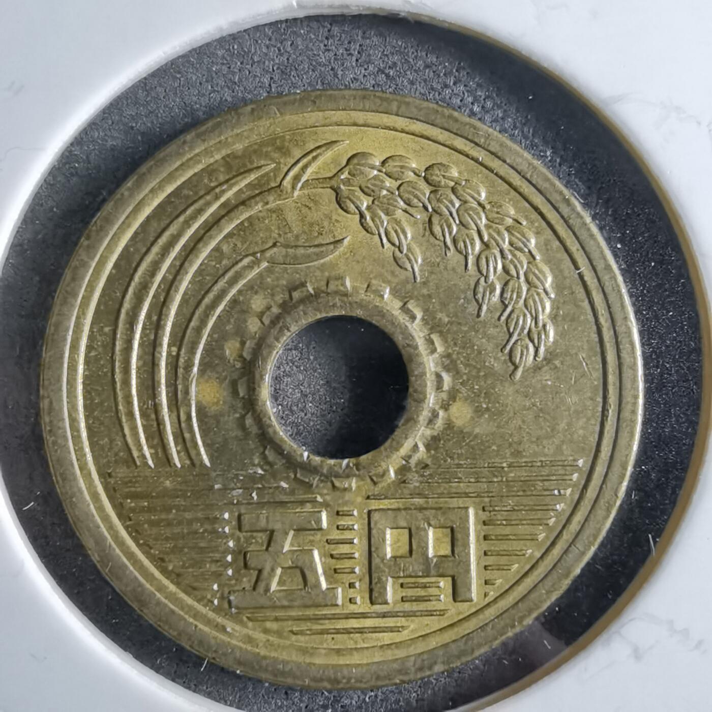 沼泽如烟--第891场