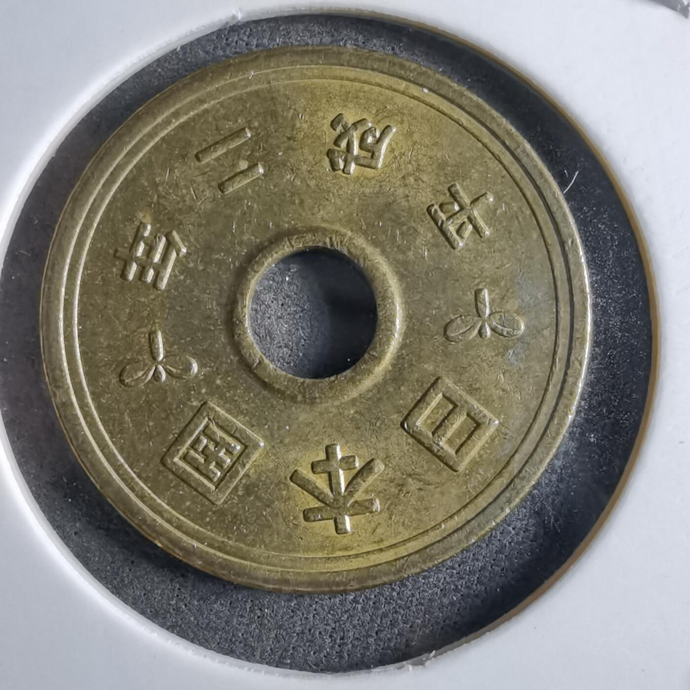 沼泽如烟--第891场