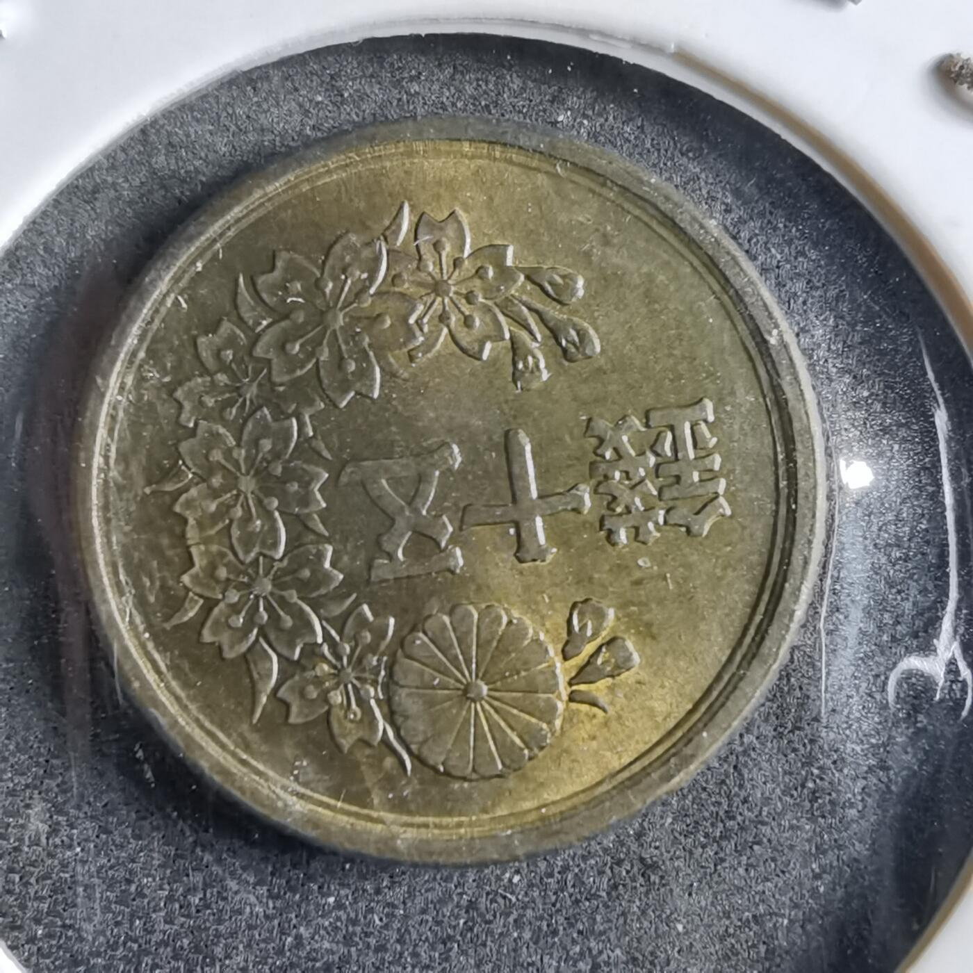 沼泽如烟--第891场