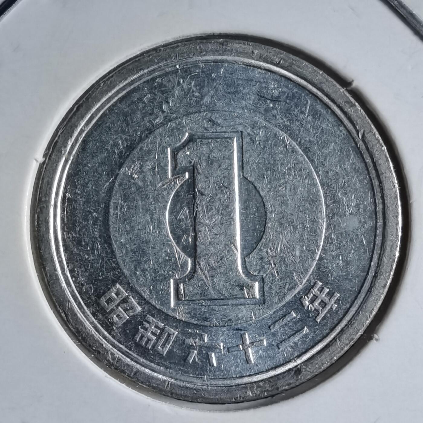 沼泽如烟--第891场