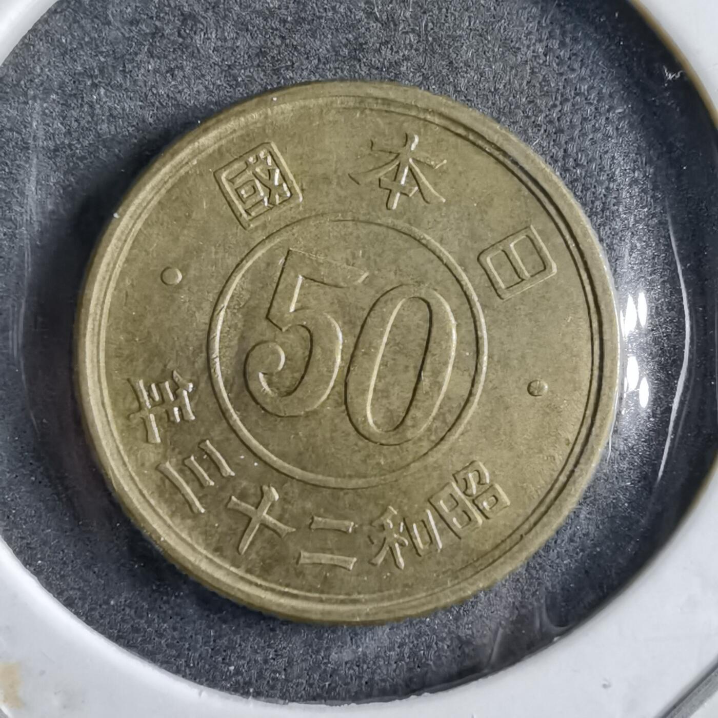 沼泽如烟--第891场