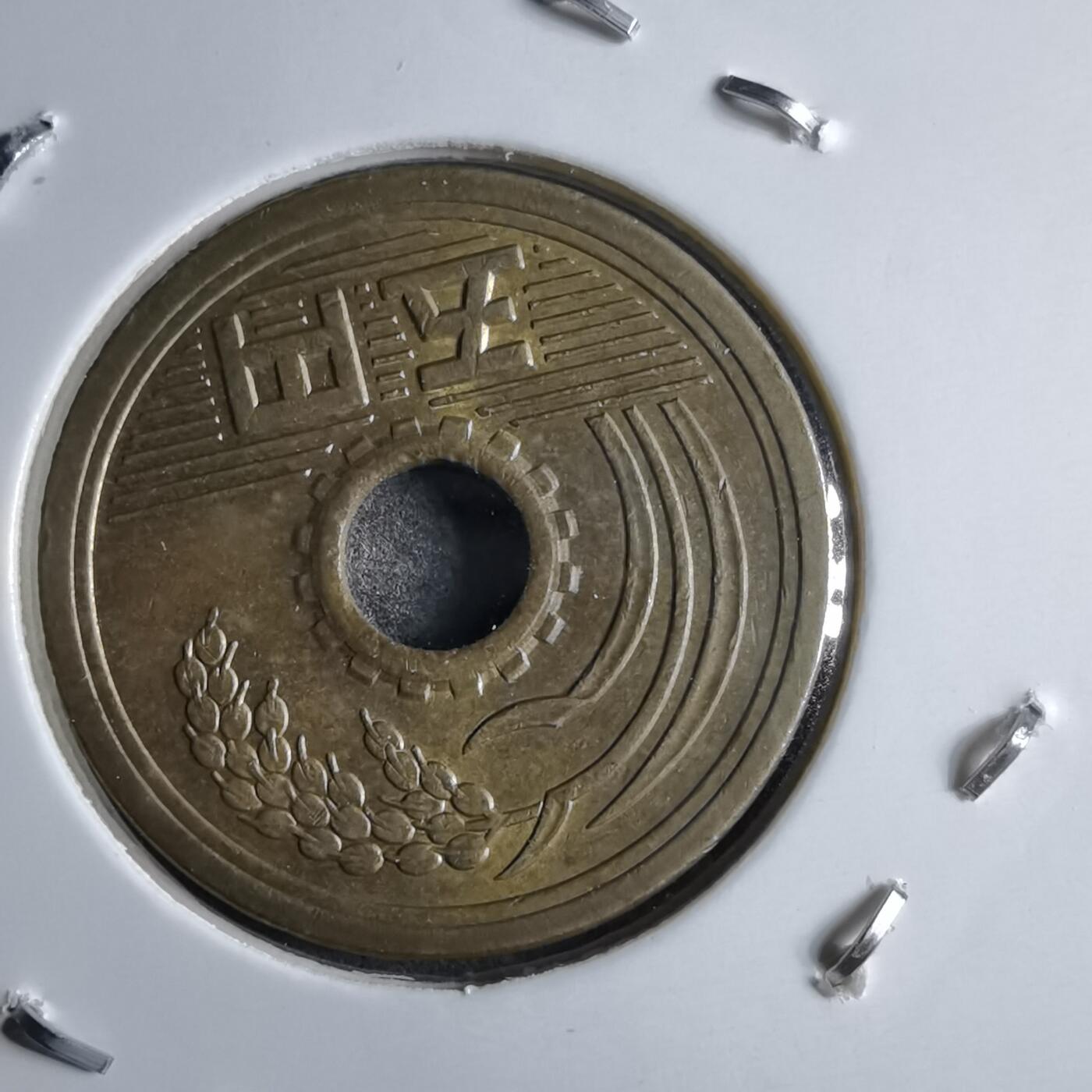 沼泽如烟--第891场