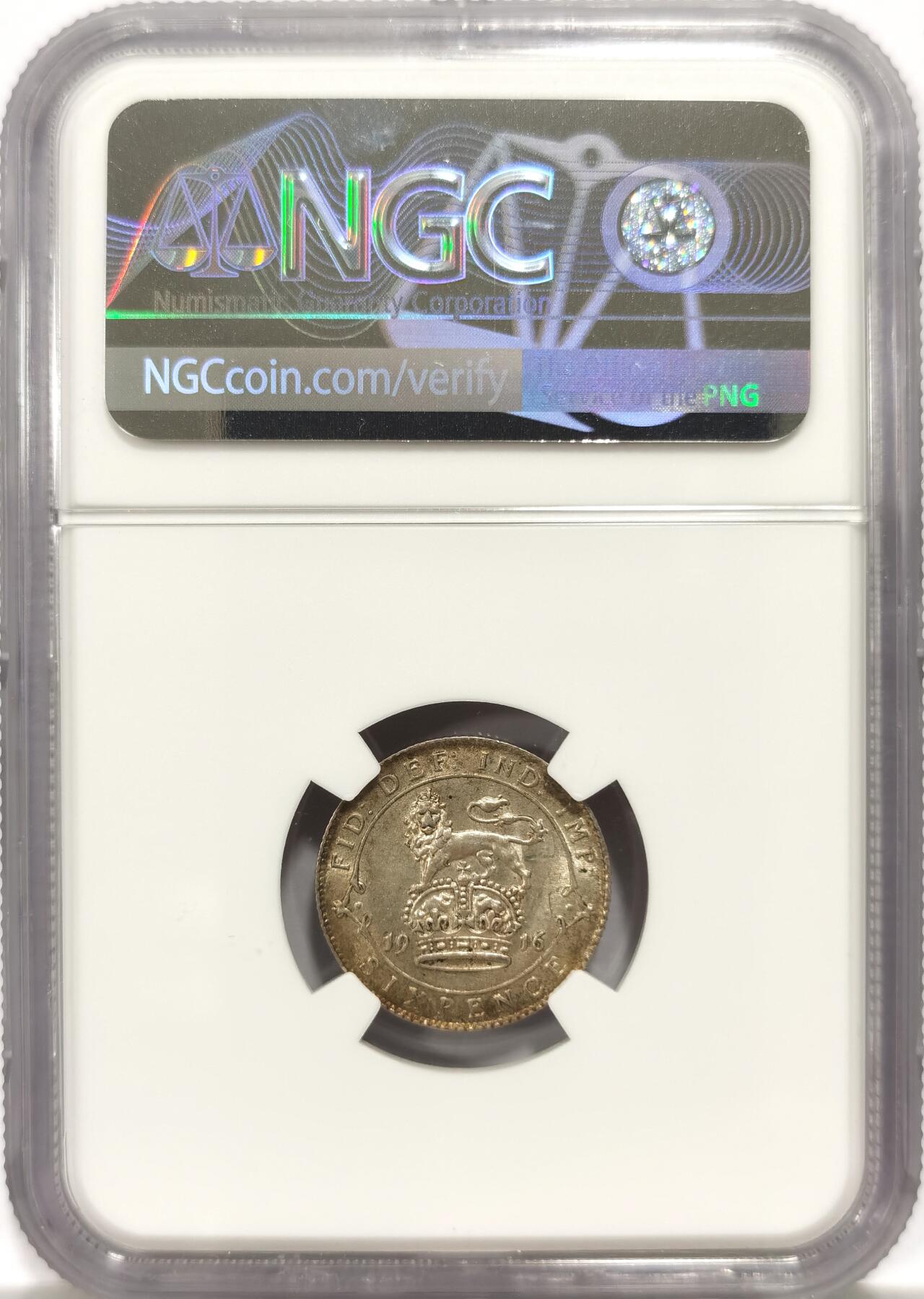 博洋堂“物美丰成”11月精品专场暨第145期（全场包邮）