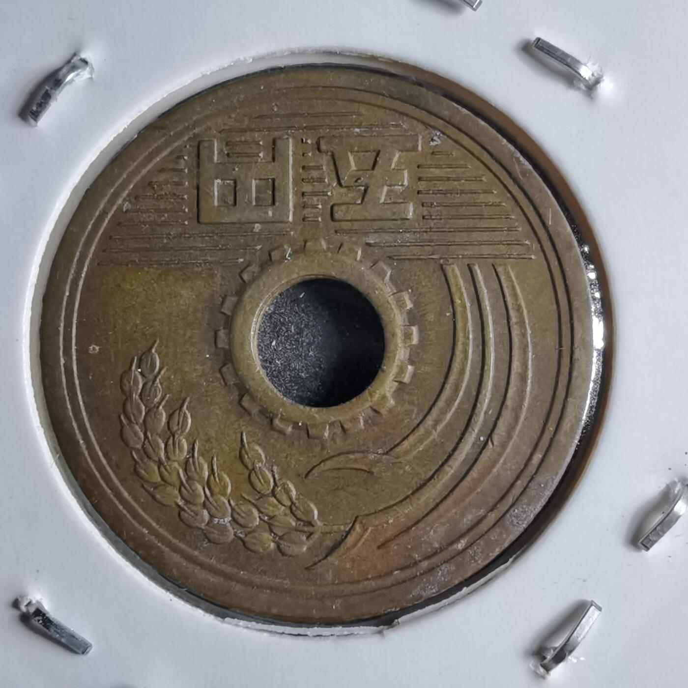 沼泽如烟--第891场