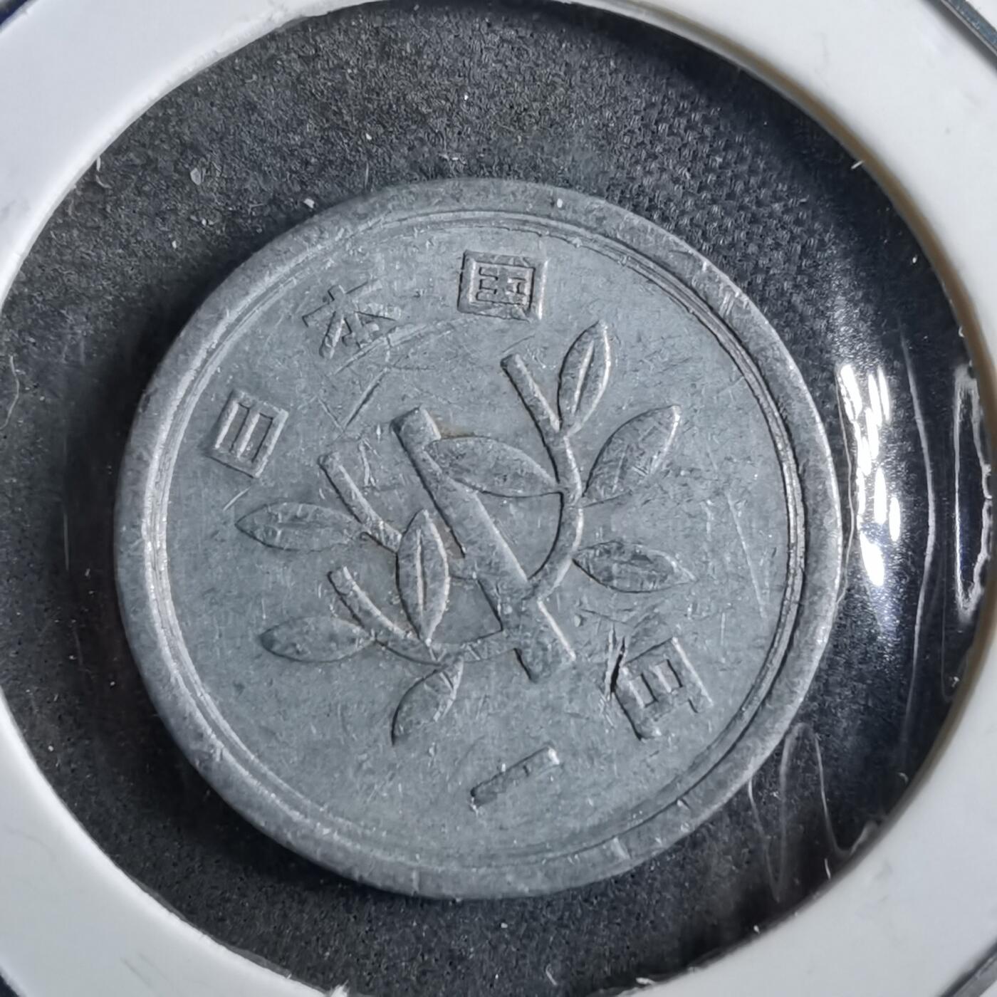 沼泽如烟--第891场