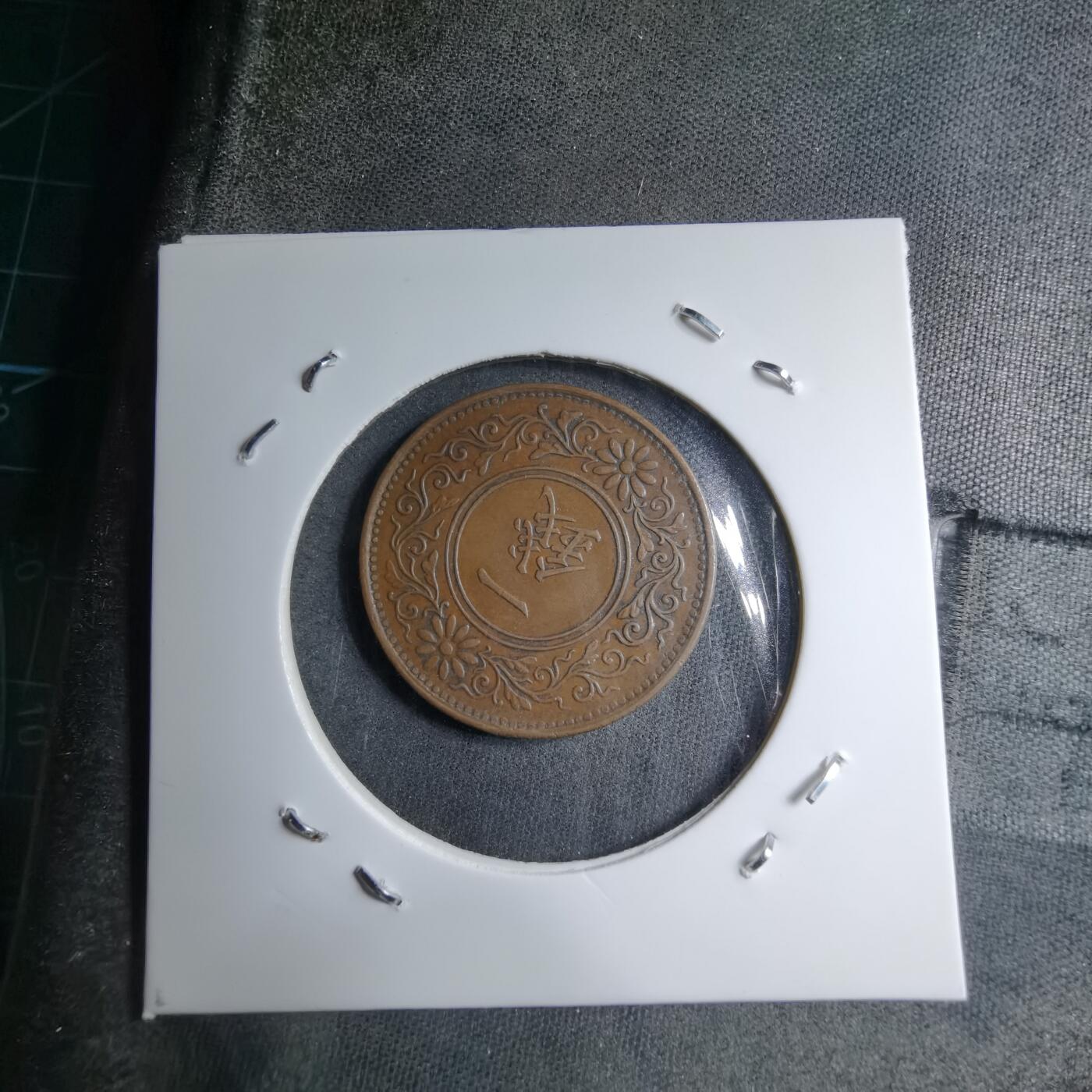 沼泽如烟--第891场