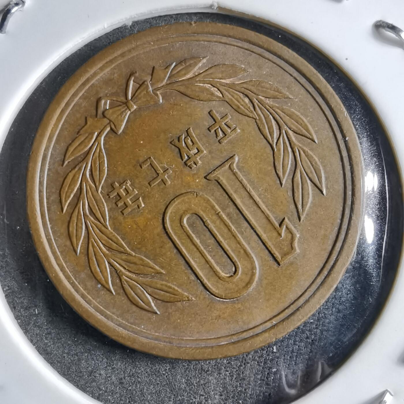 沼泽如烟--第891场