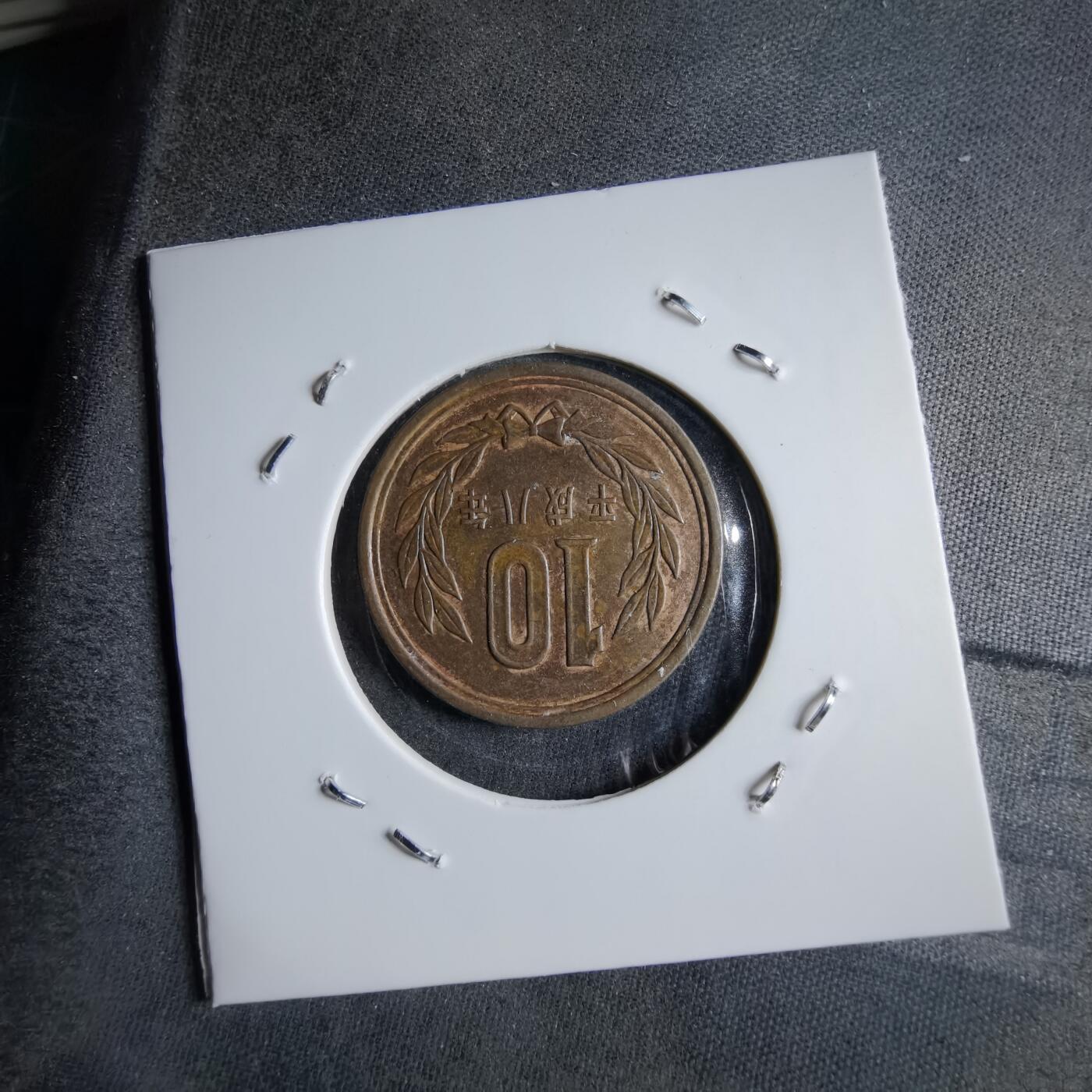 沼泽如烟--第891场