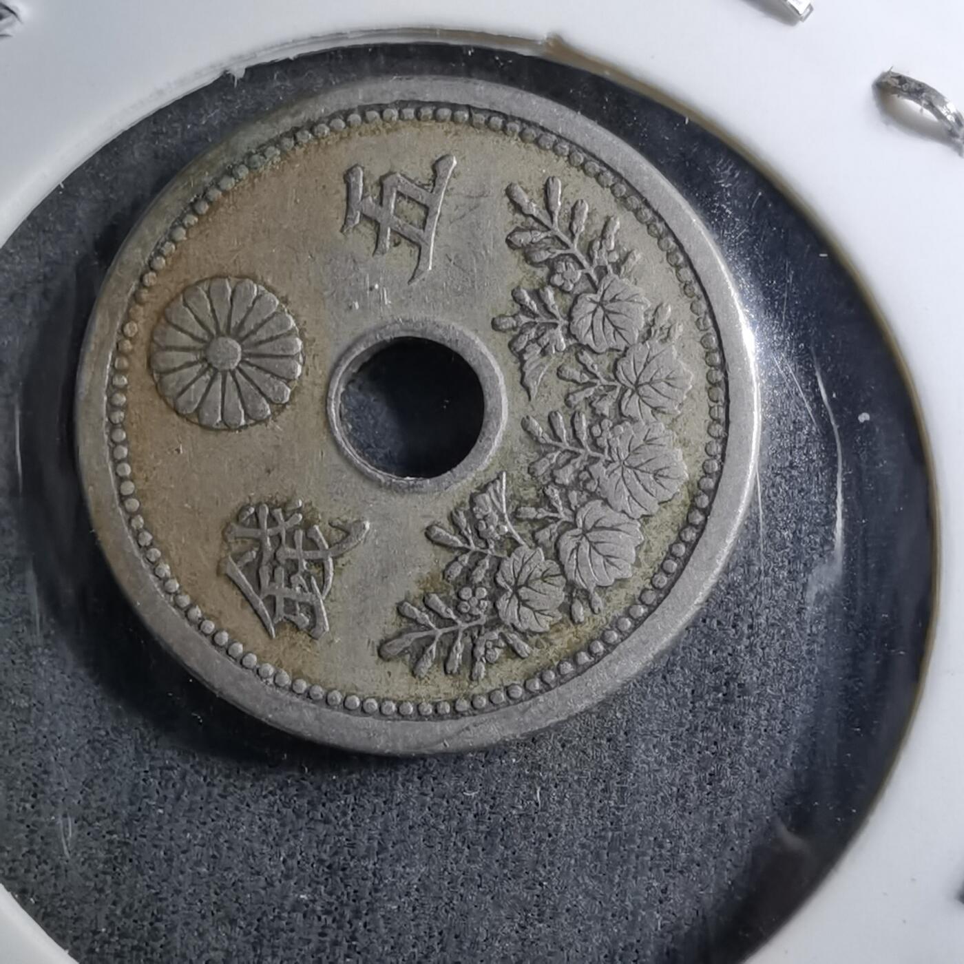 沼泽如烟--第891场