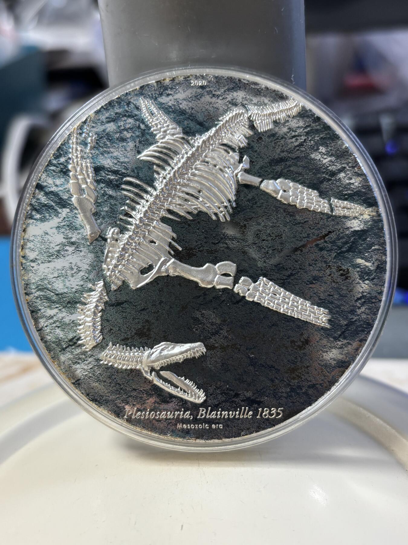 第181期拍卖 蒙古2020年恐龙化石系列3蛇颈龙高浮雕3盎司彩银币，999银，发行999枚