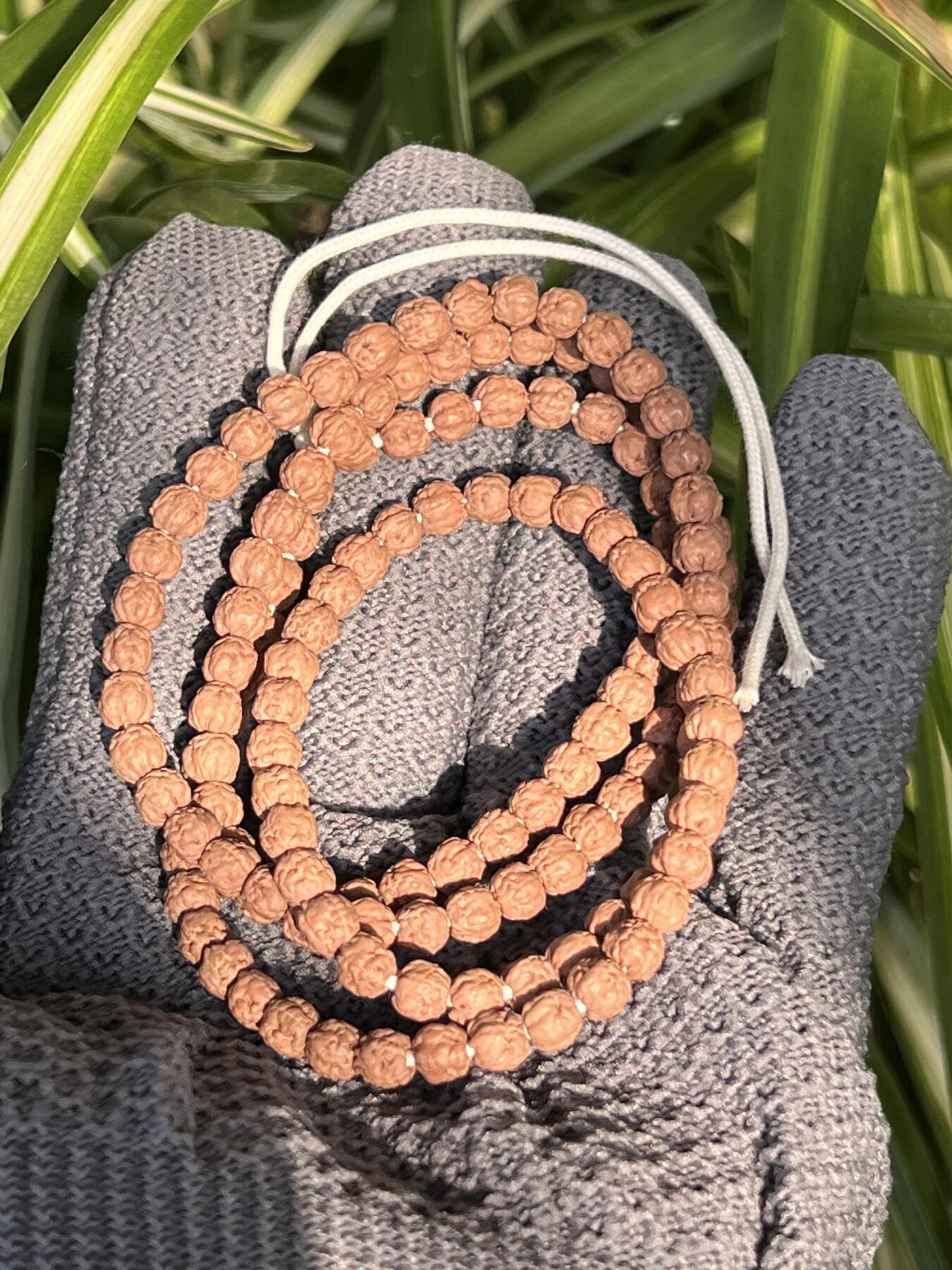 零元拍：NO.8 五爪金龙小佛手长串5MM左右，非常容易变红，坊间人称三日红，很容易有盘玩成就感。图8是我自己盘玩效果