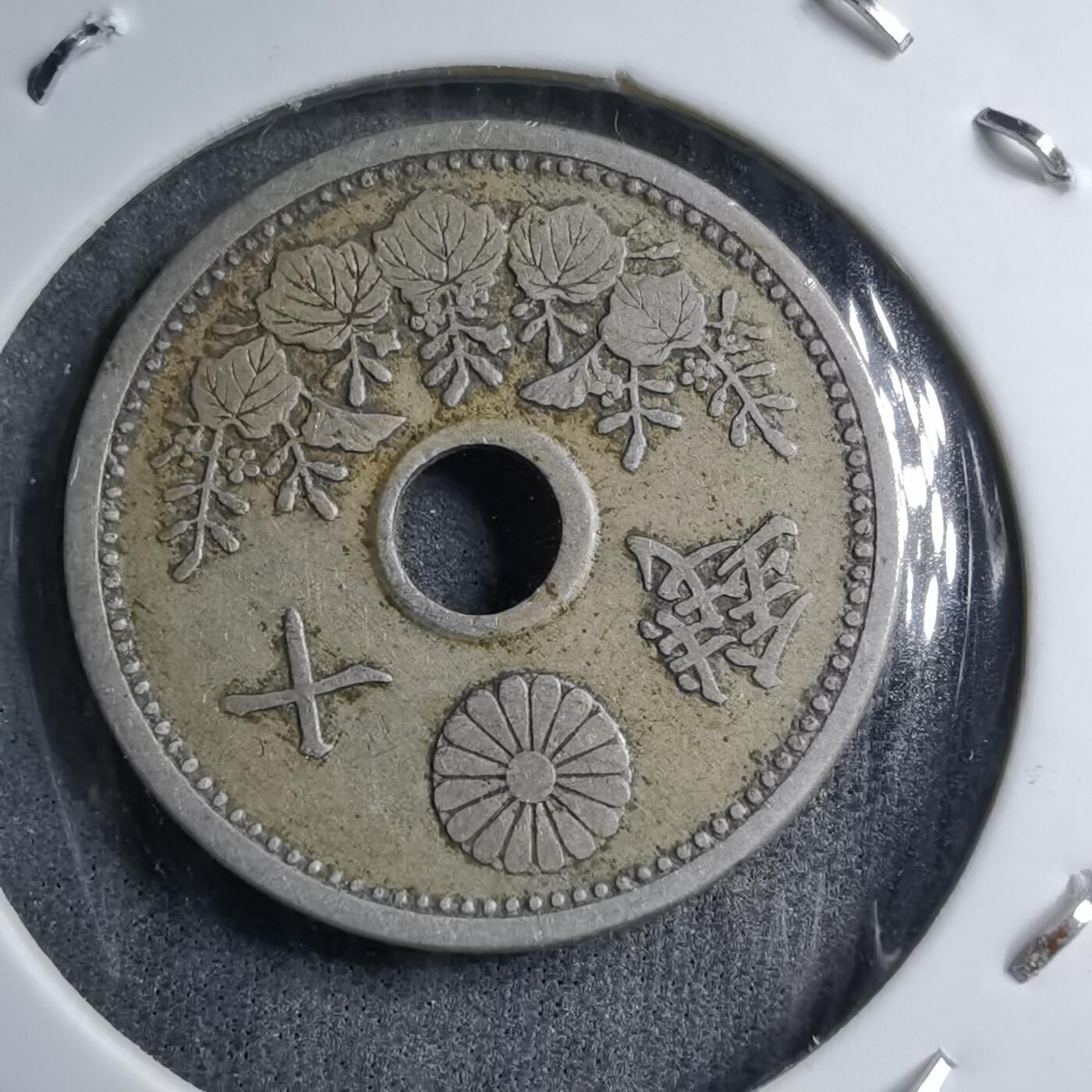 沼泽如烟--第891场