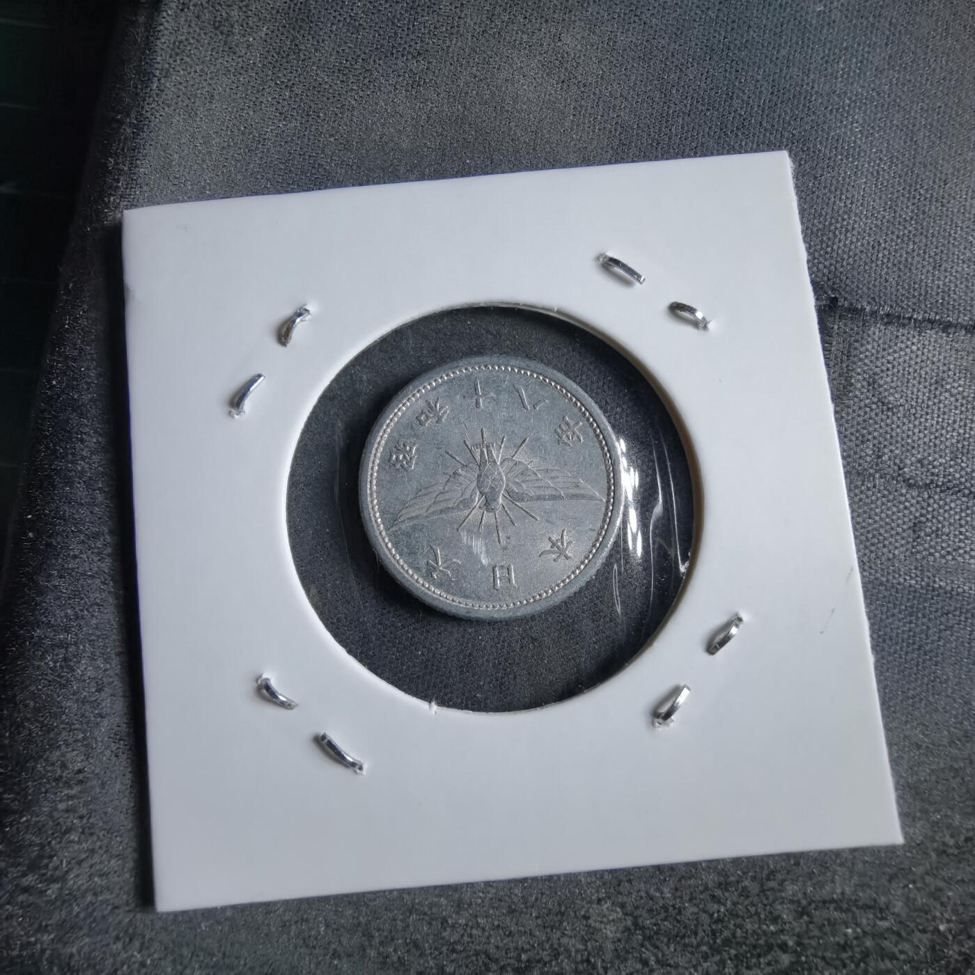 沼泽如烟--第891场