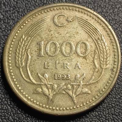 泉币菌-第128场-精品福利场(115场之后的本周末发货，感谢理解) - 土耳其1993年 关门年1000里拉 铜镍25.5mm