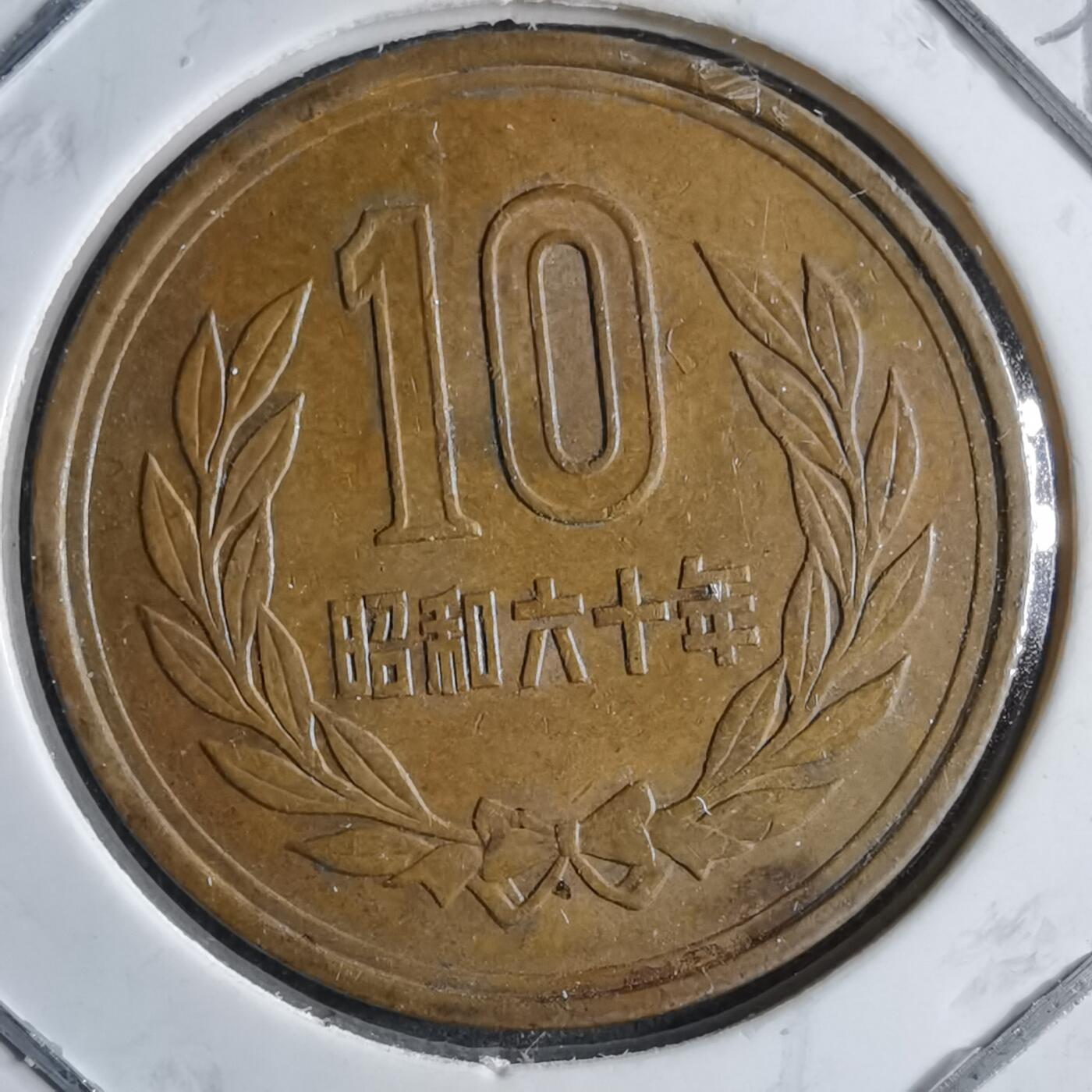 沼泽如烟--第891场