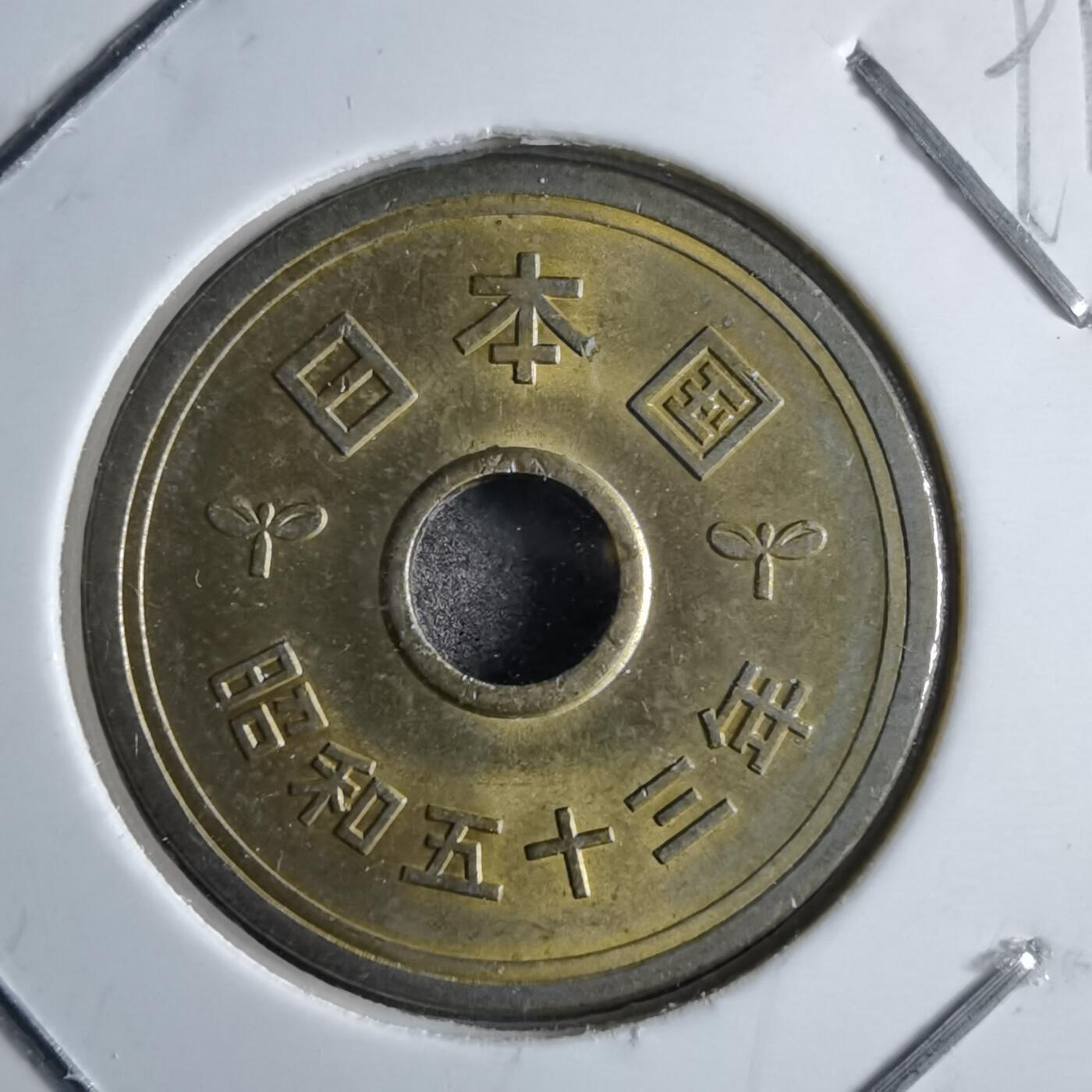 沼泽如烟--第891场