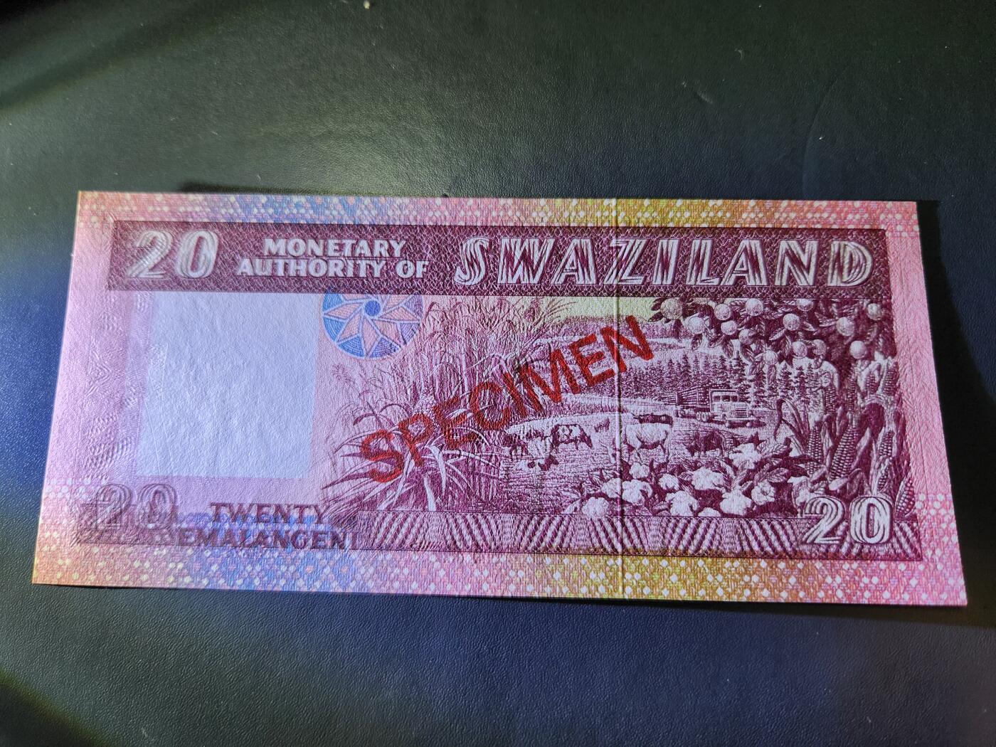 11月8号晚上8点 外国纸币自动截拍第53场