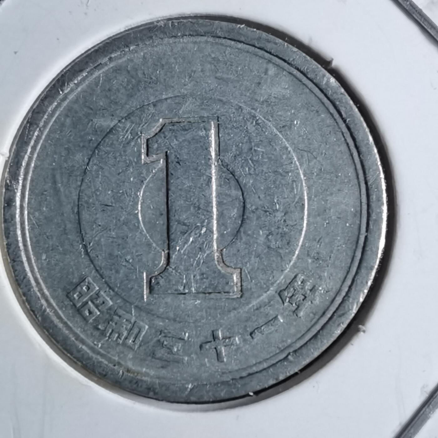 沼泽如烟--第891场