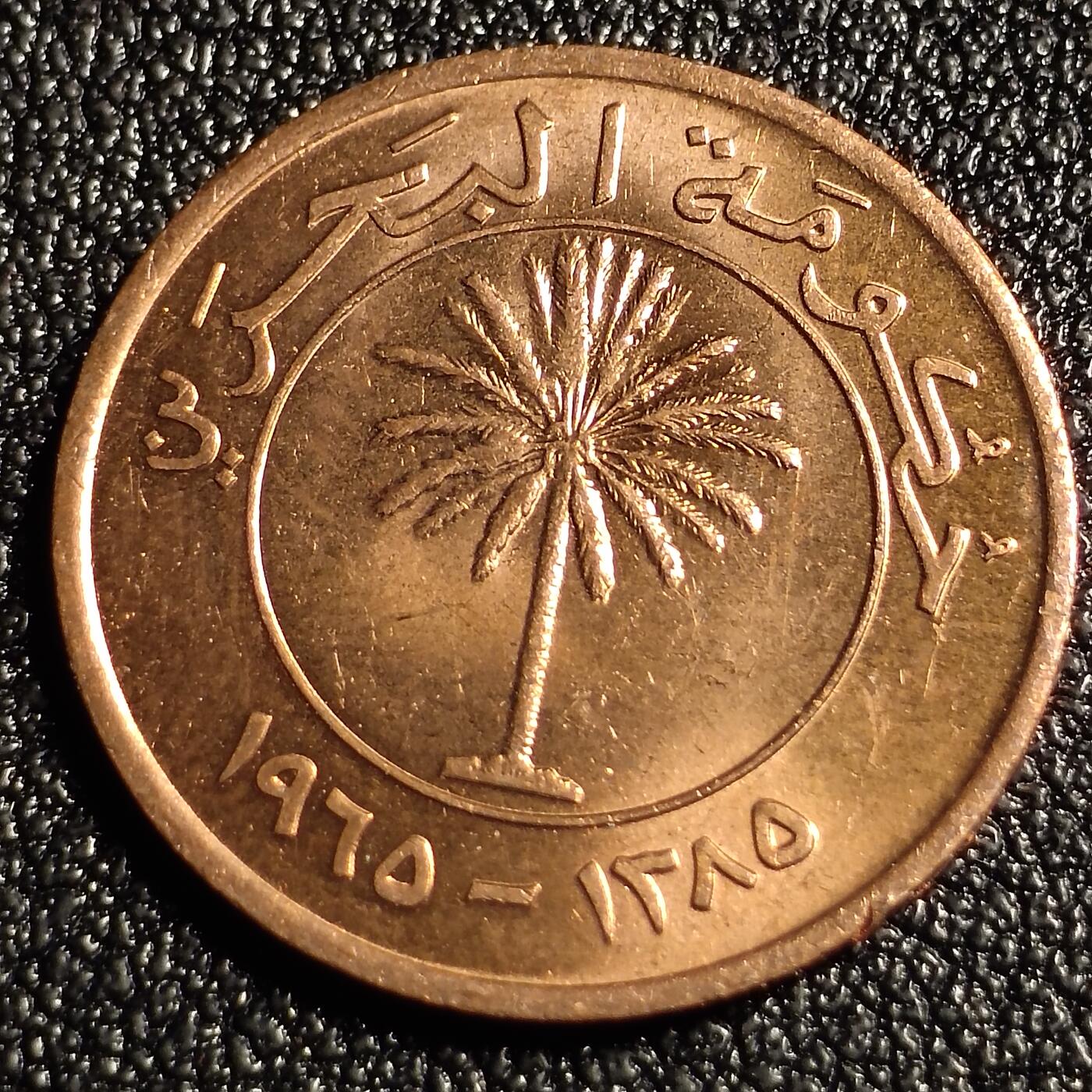 泉币菌-第128场-精品福利场(115场之后的本周末发货，感谢理解) 。