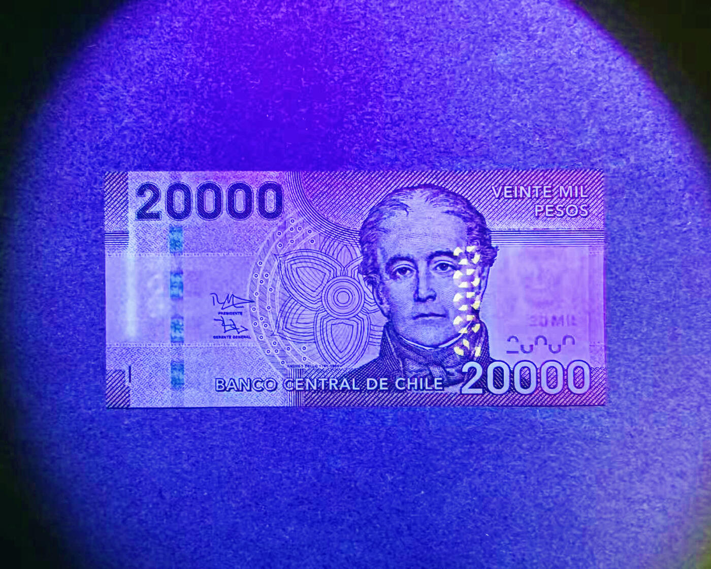 【Blue Auction】世界纸币精拍第746期——18级TOP拍卖/信誉/品质/专业/高效💫 【AA】智利 20000比索  全新UNC