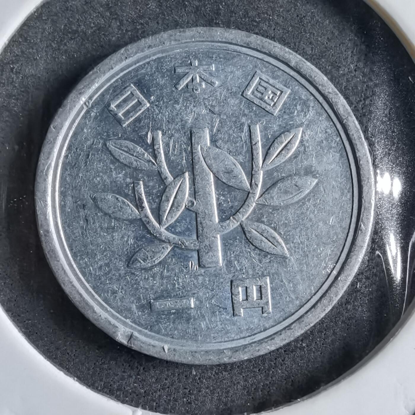 沼泽如烟--第891场