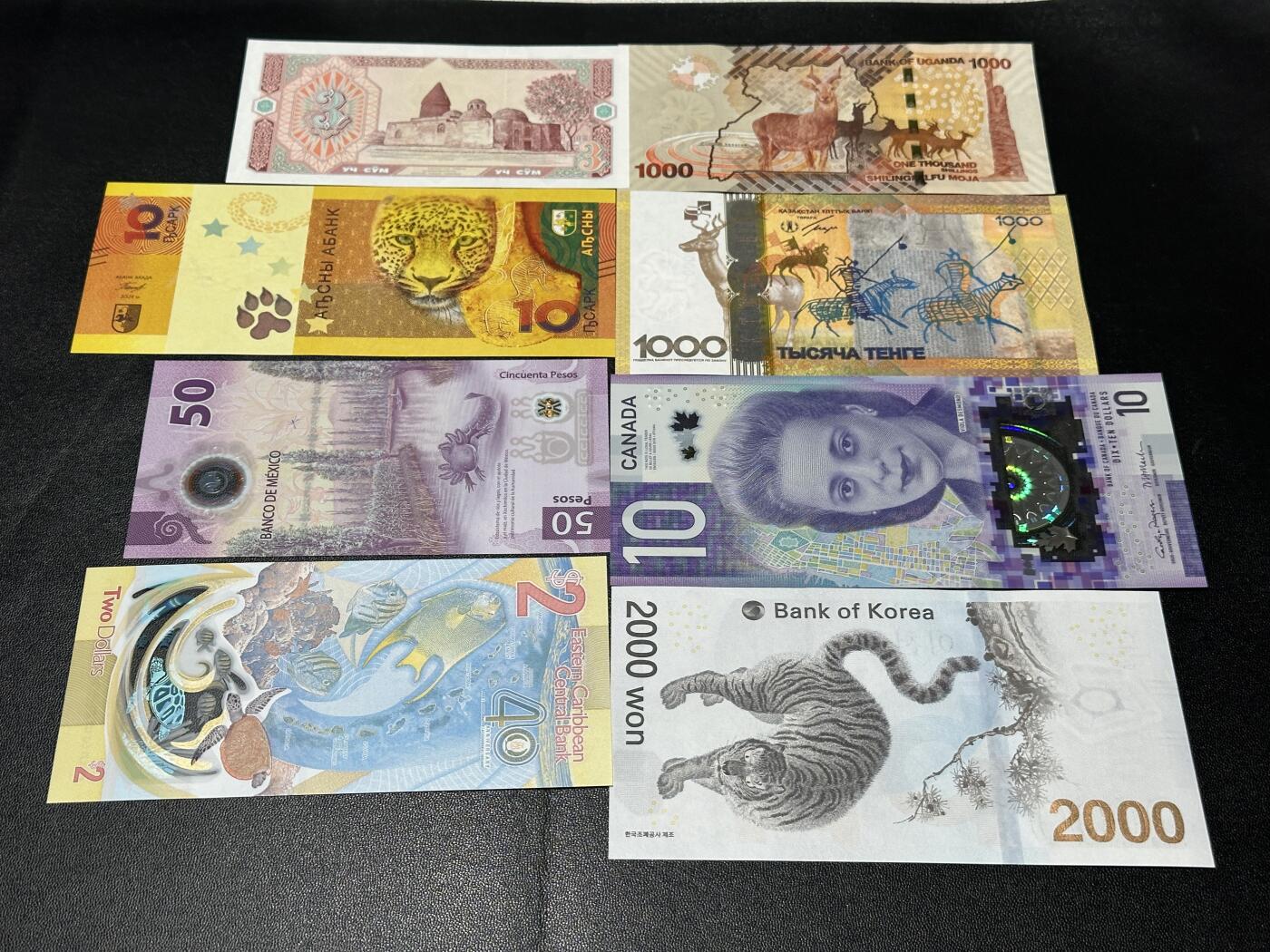 《外钞收藏家》第五百八十二期（精品场）（本平台长期征集拍品、欢迎藏友们联系合作） 韩国冬奥会纪念钞、墨西哥、加拿大、哈萨克斯坦等八张精美纸币和塑料钞一起 全新UNC