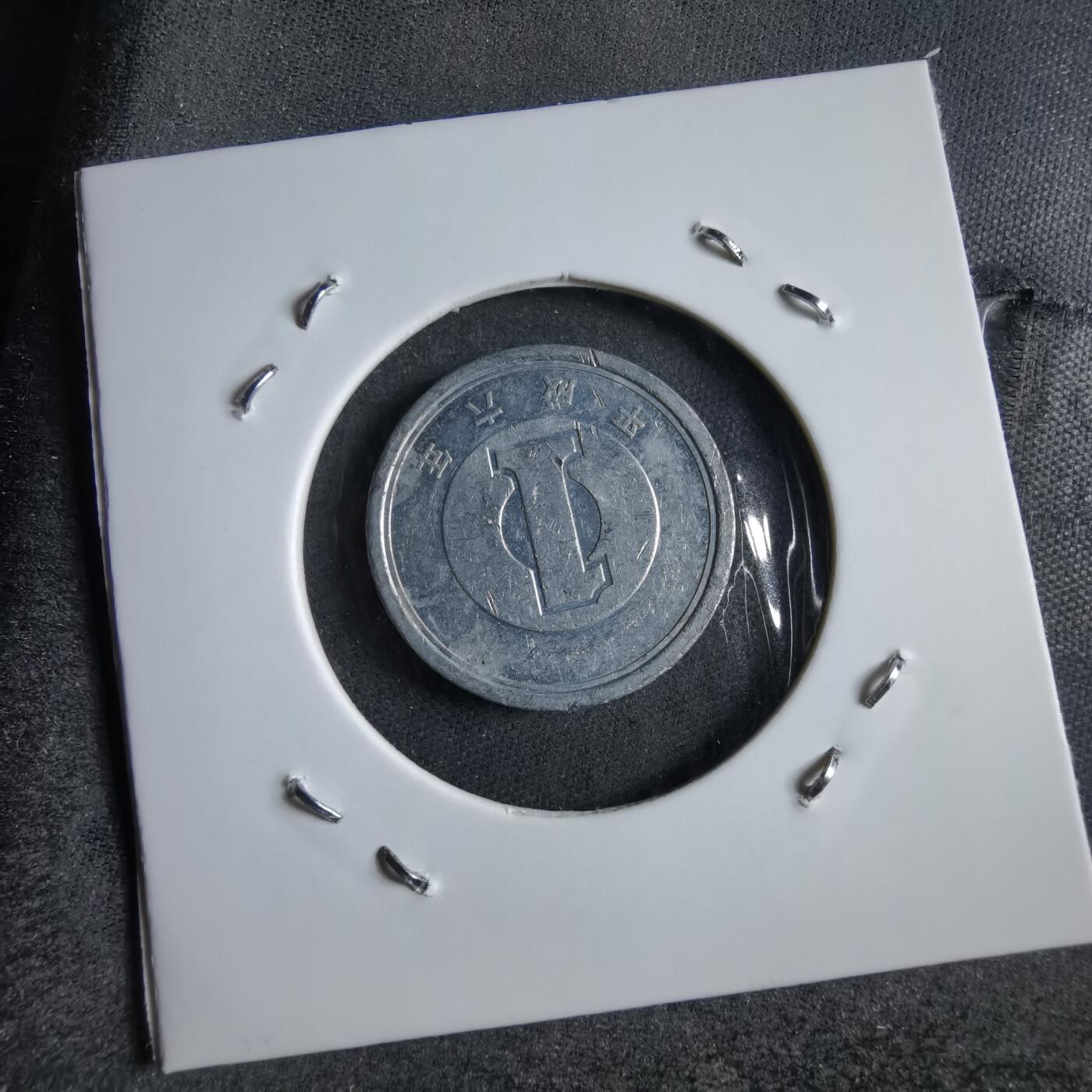 沼泽如烟--第891场