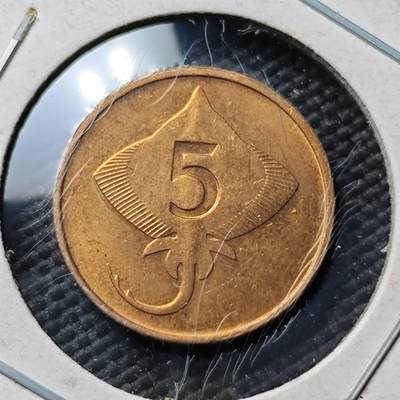 KK钱币收藏小铺  第365场  2月预留时间 周末发货 -  冰岛5拉雷 好品铜币