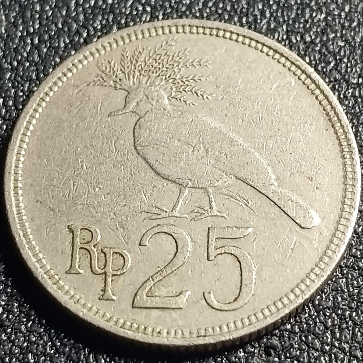 泉币菌-第128场-精品福利场(115场之后的本周末发货，感谢理解) 。