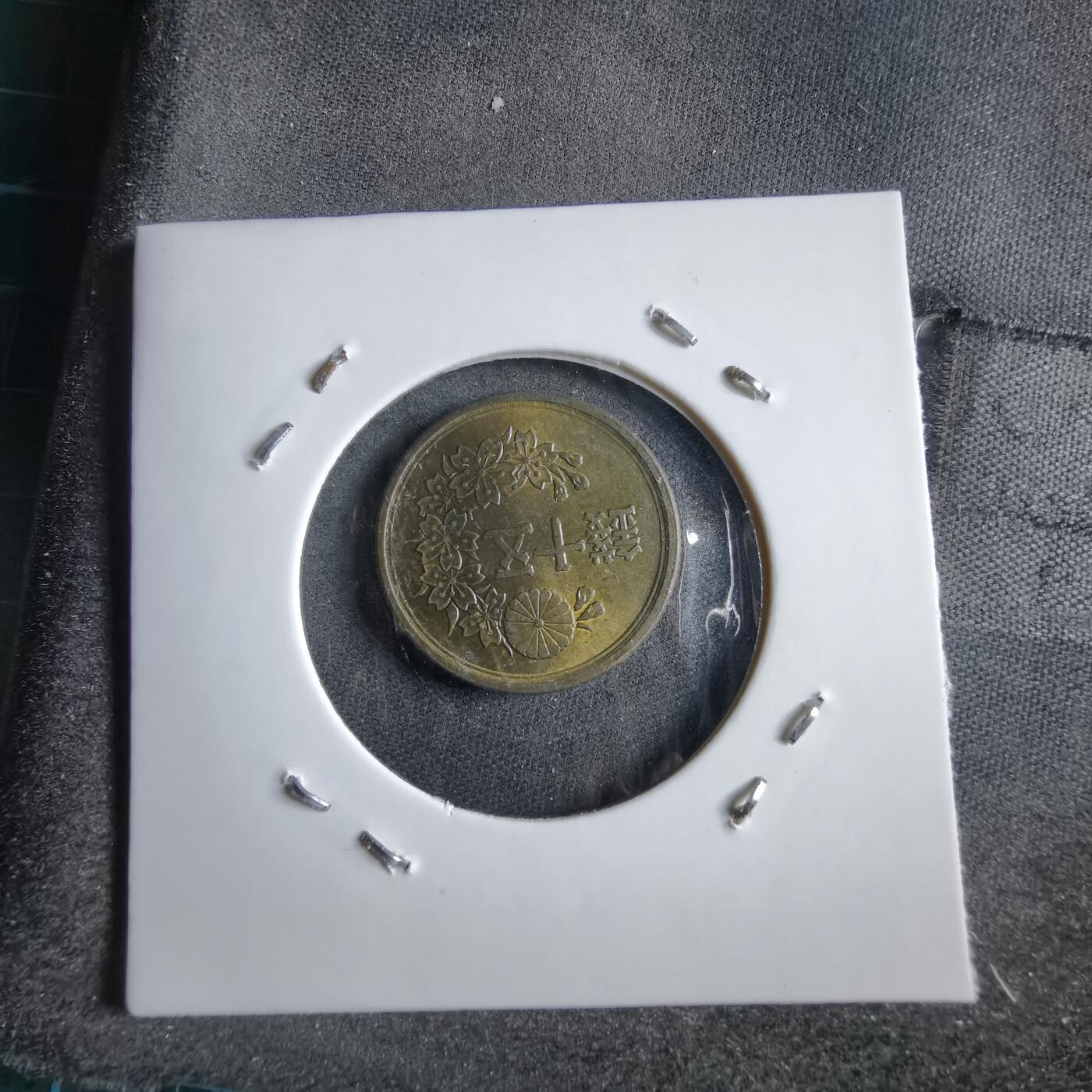 沼泽如烟--第891场