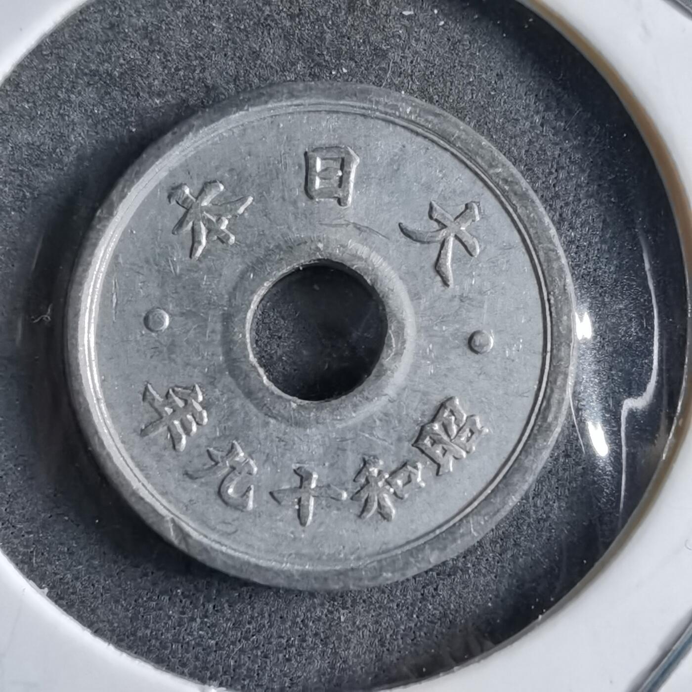 沼泽如烟--第891场